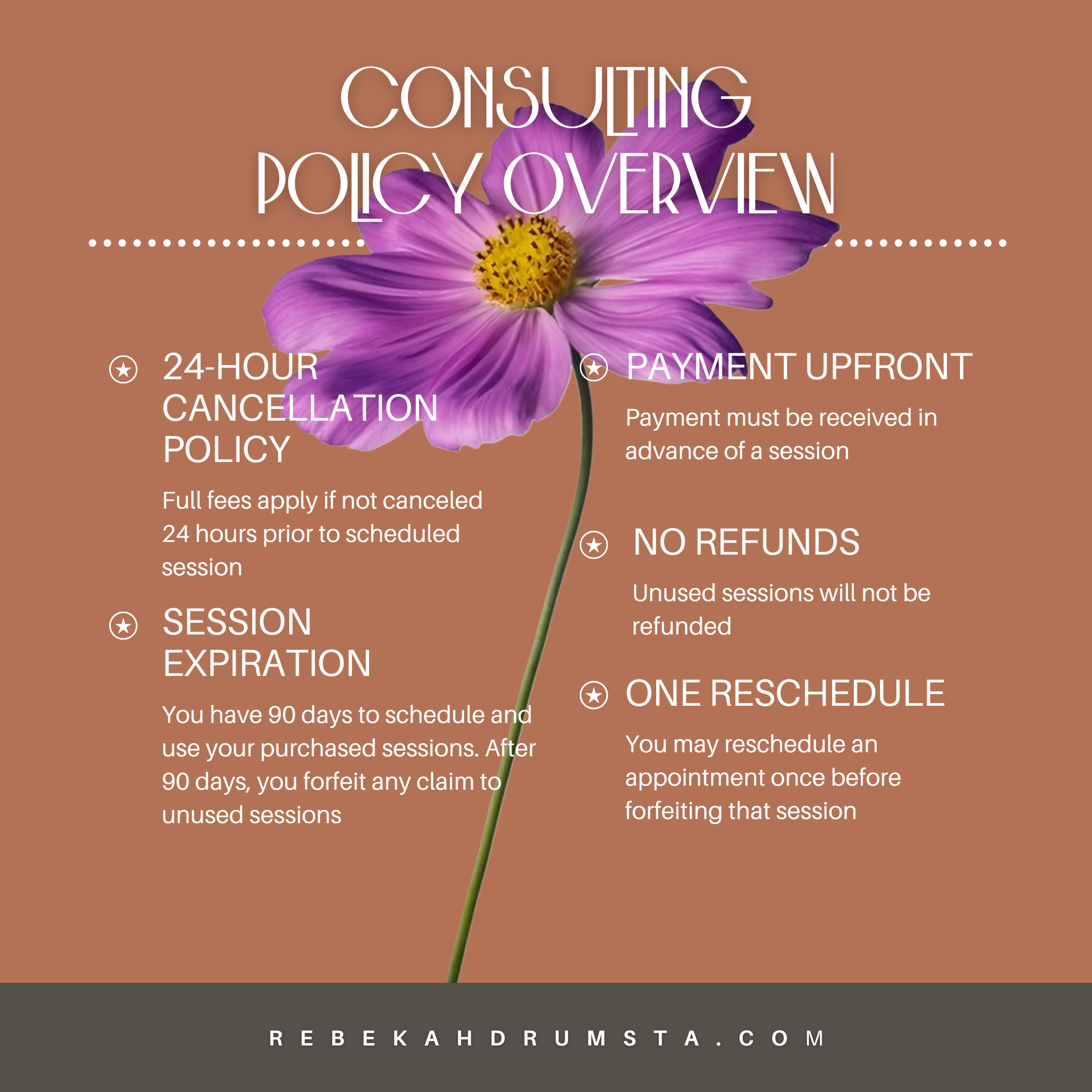 Rebekah Consulting 2026 Policy.png