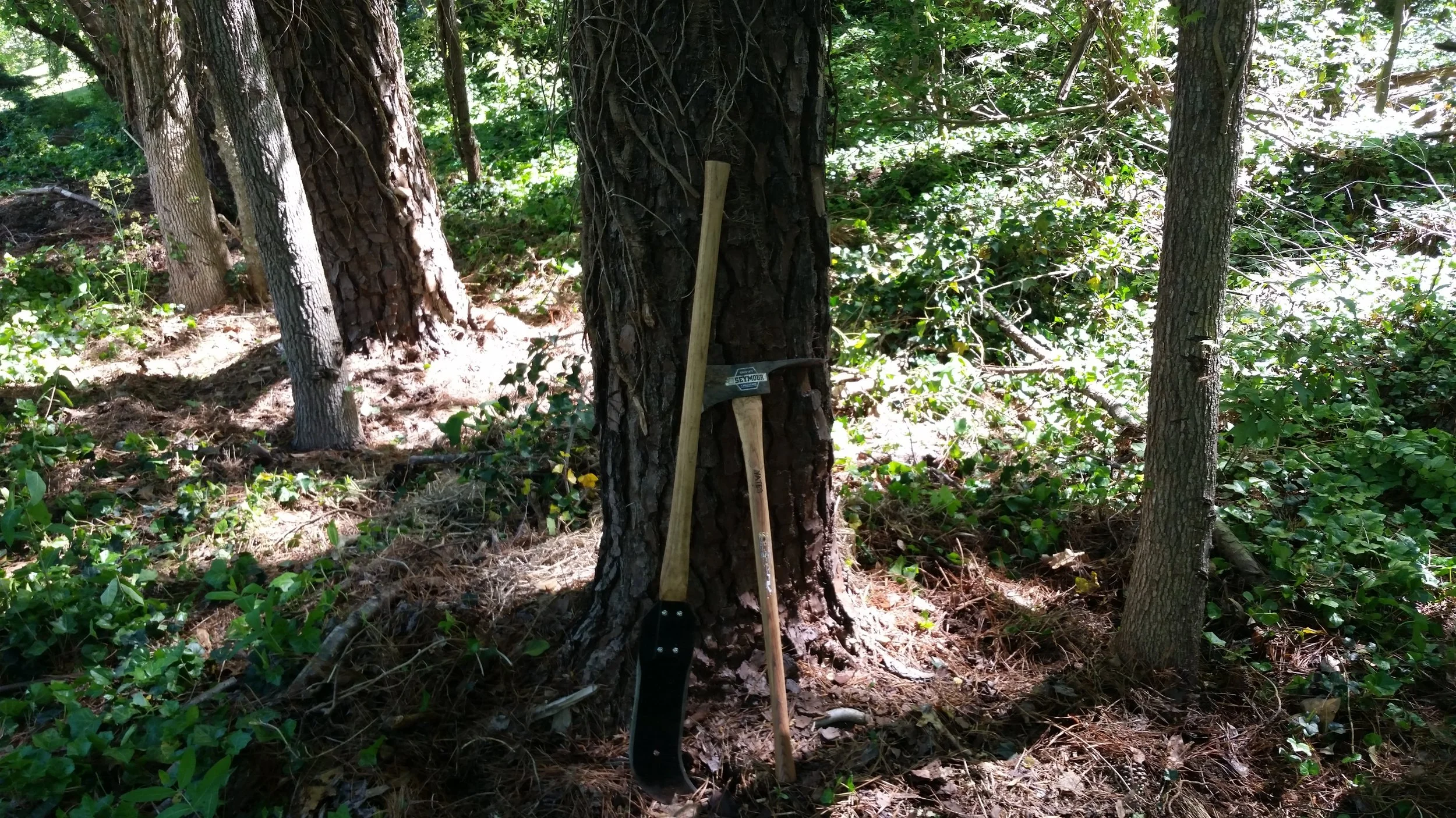 20160423_114917.jpg