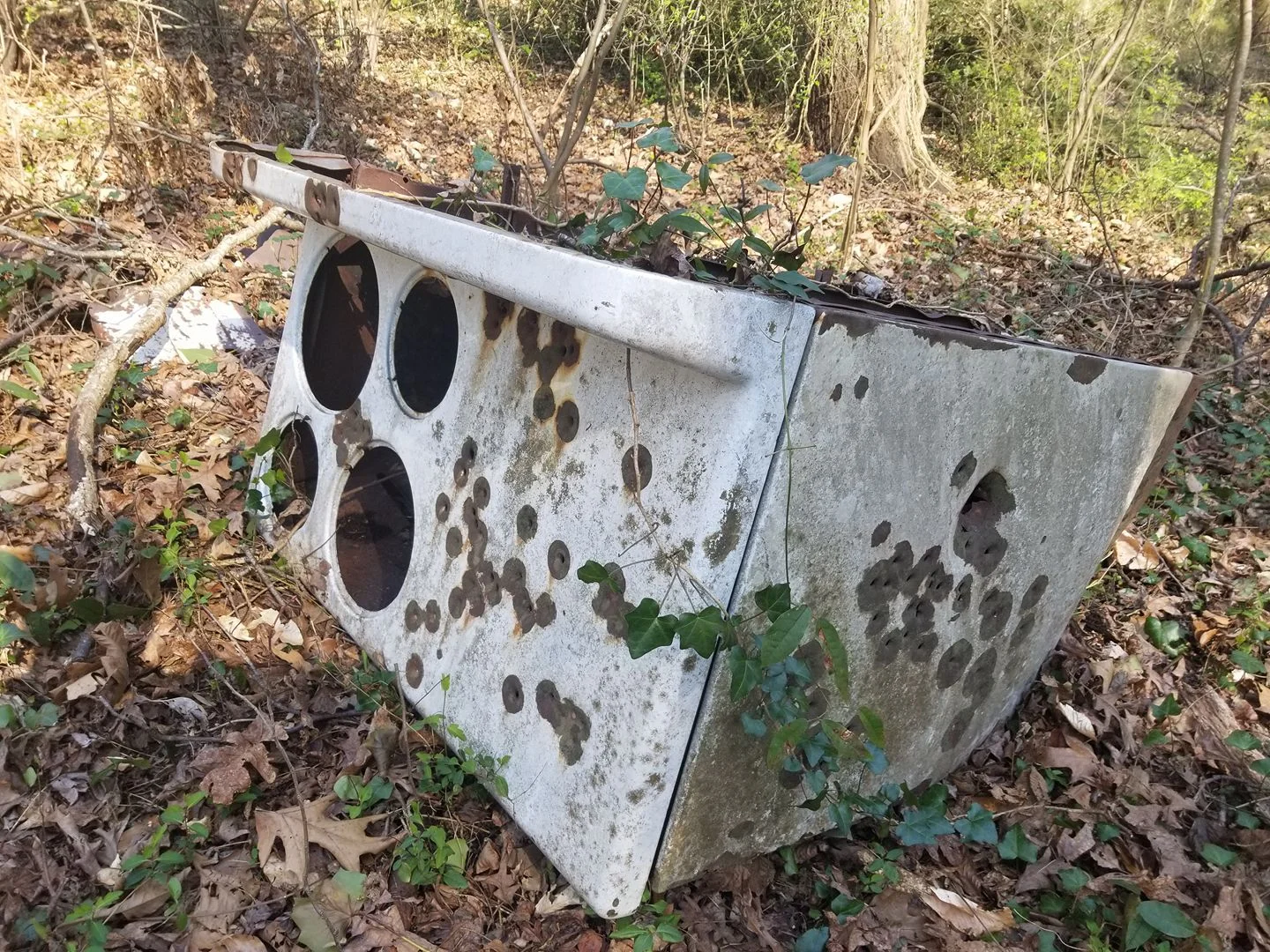 Stove Removal