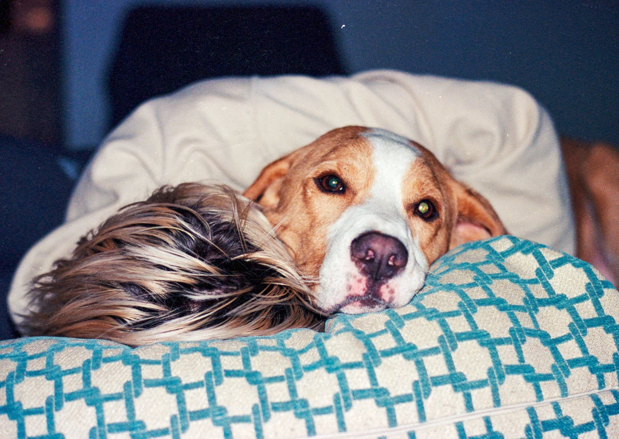 20230406_Roll4-10.jpg