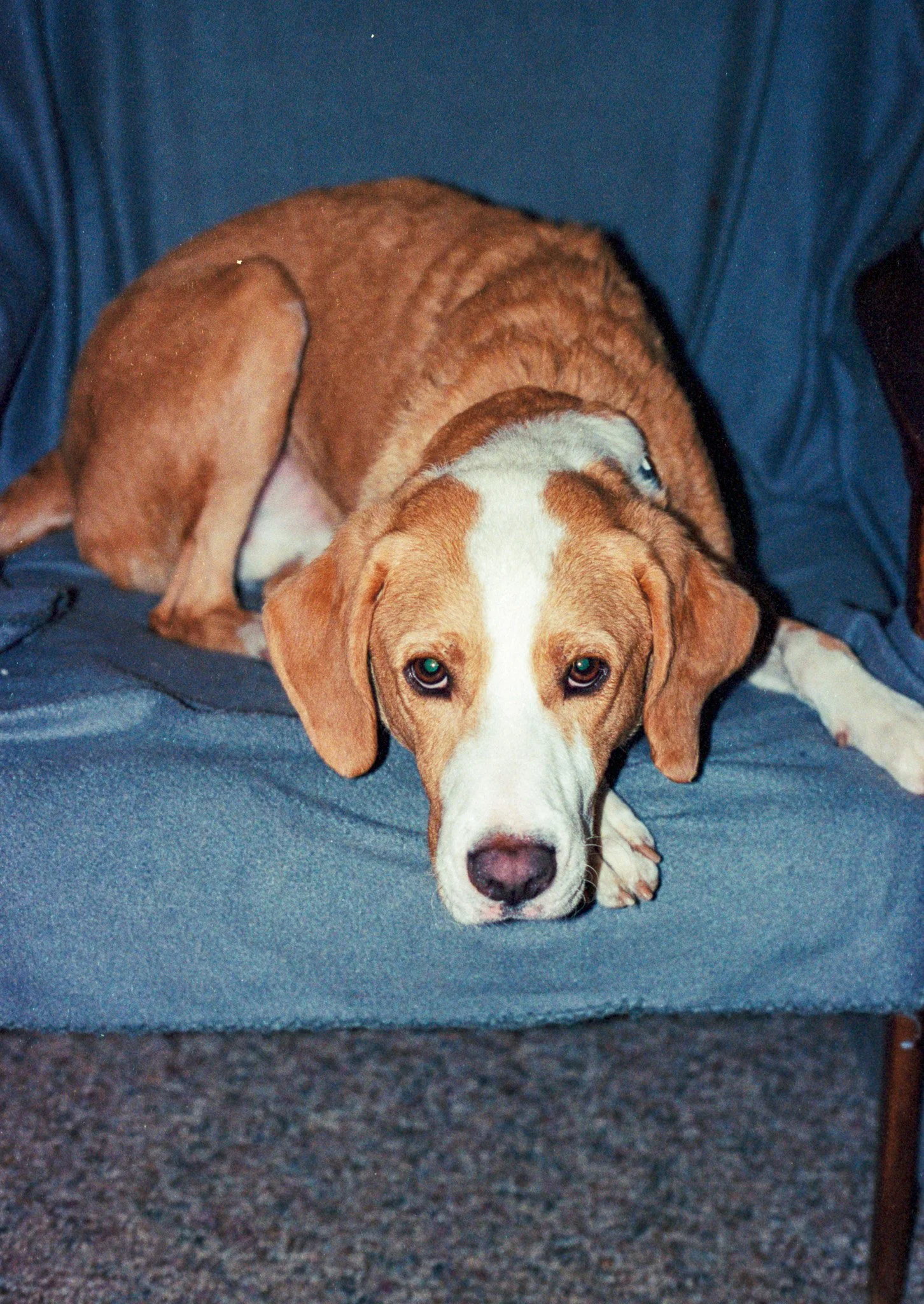 20230406_Roll4-14.jpg