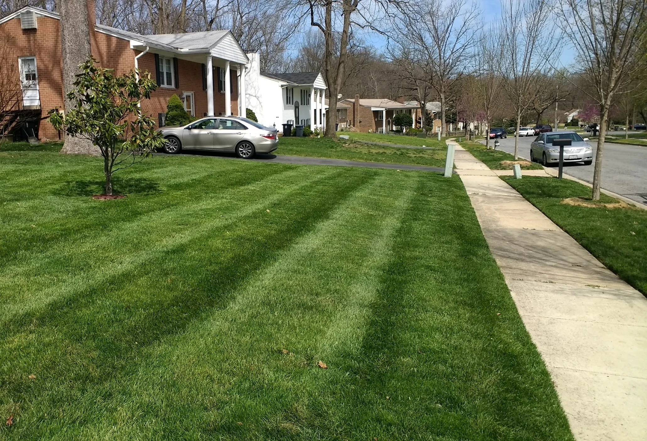 IMG_20170405_140024375.jpg