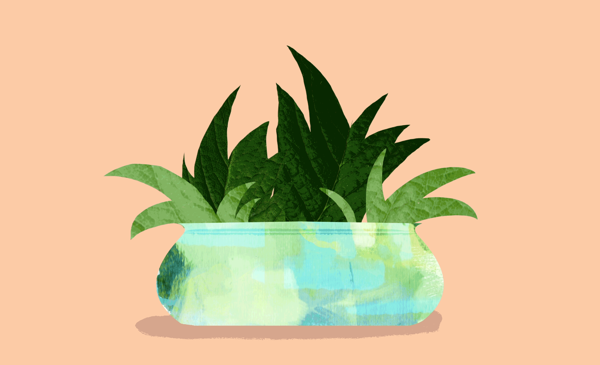 plant_cropped_new.gif