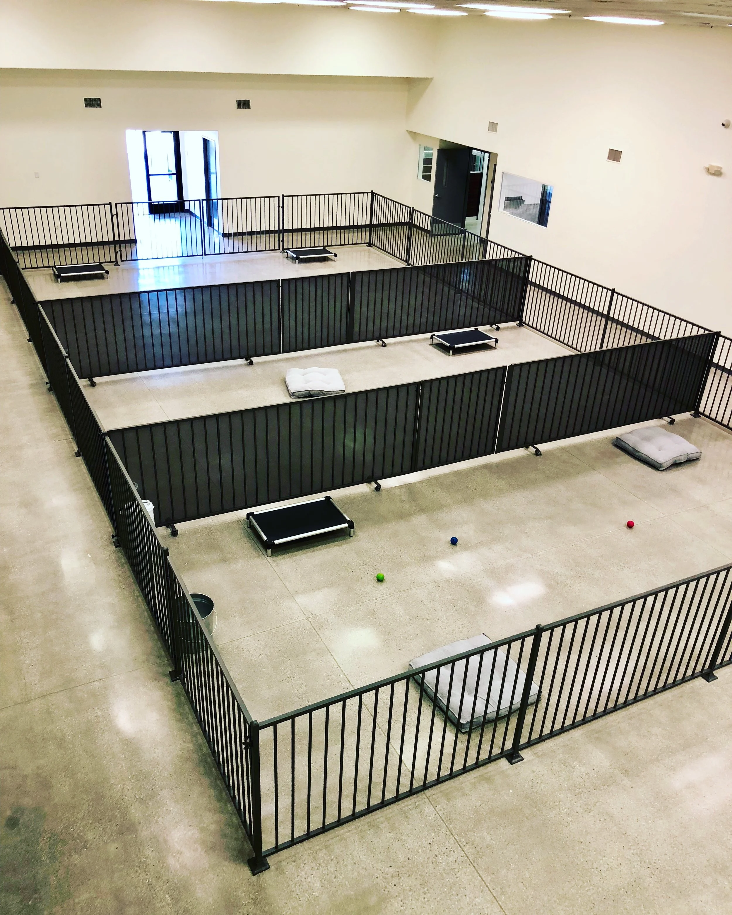 Gallery — Las Vegas Pet Boarding and Grooming Tails Pet Resorts