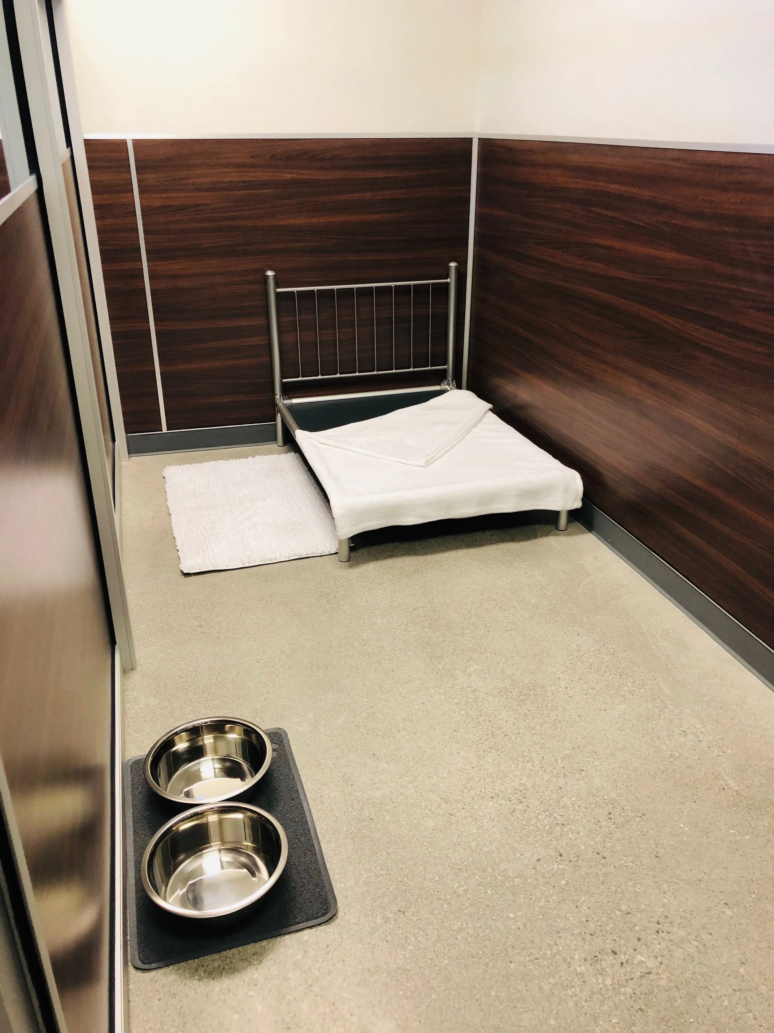 Gallery — Las Vegas Pet Boarding and Grooming Tails Pet Resorts