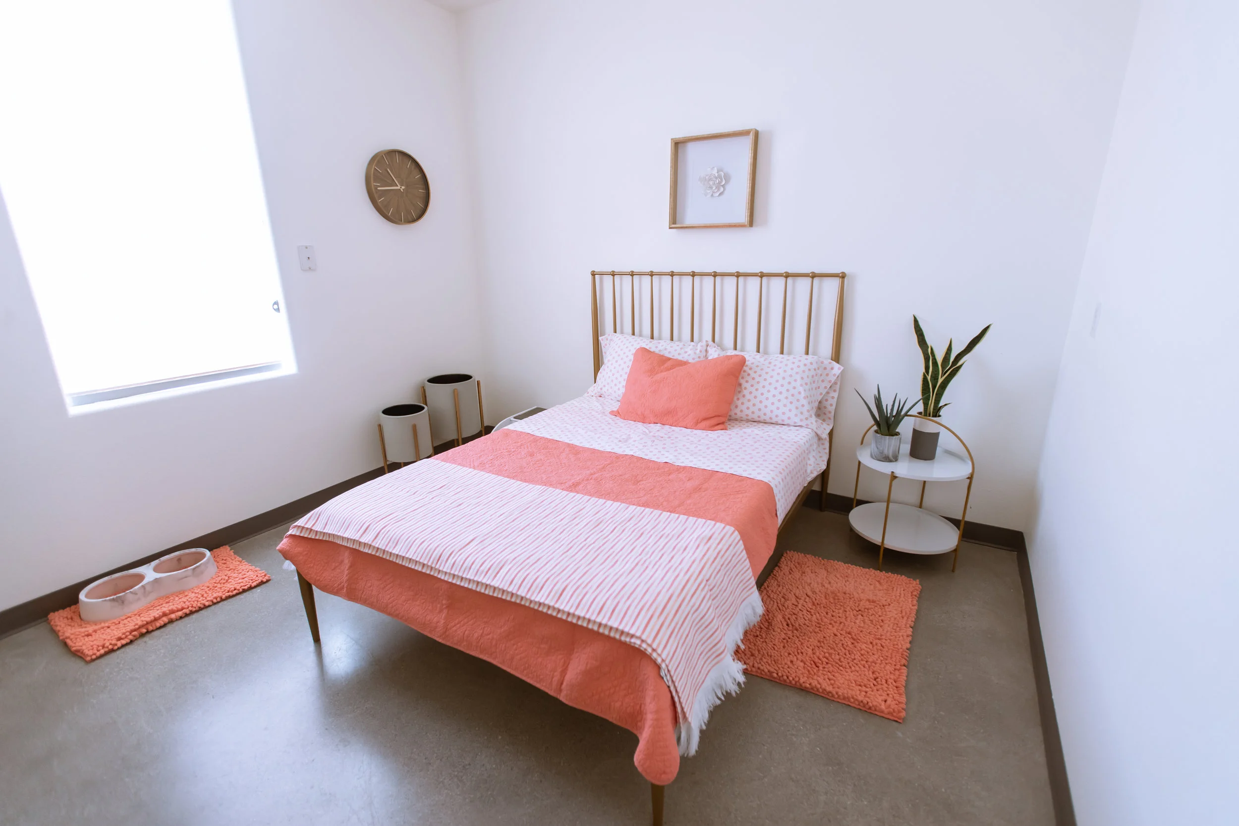 Gallery — Las Vegas Pet Boarding and Grooming Tails Pet Resorts