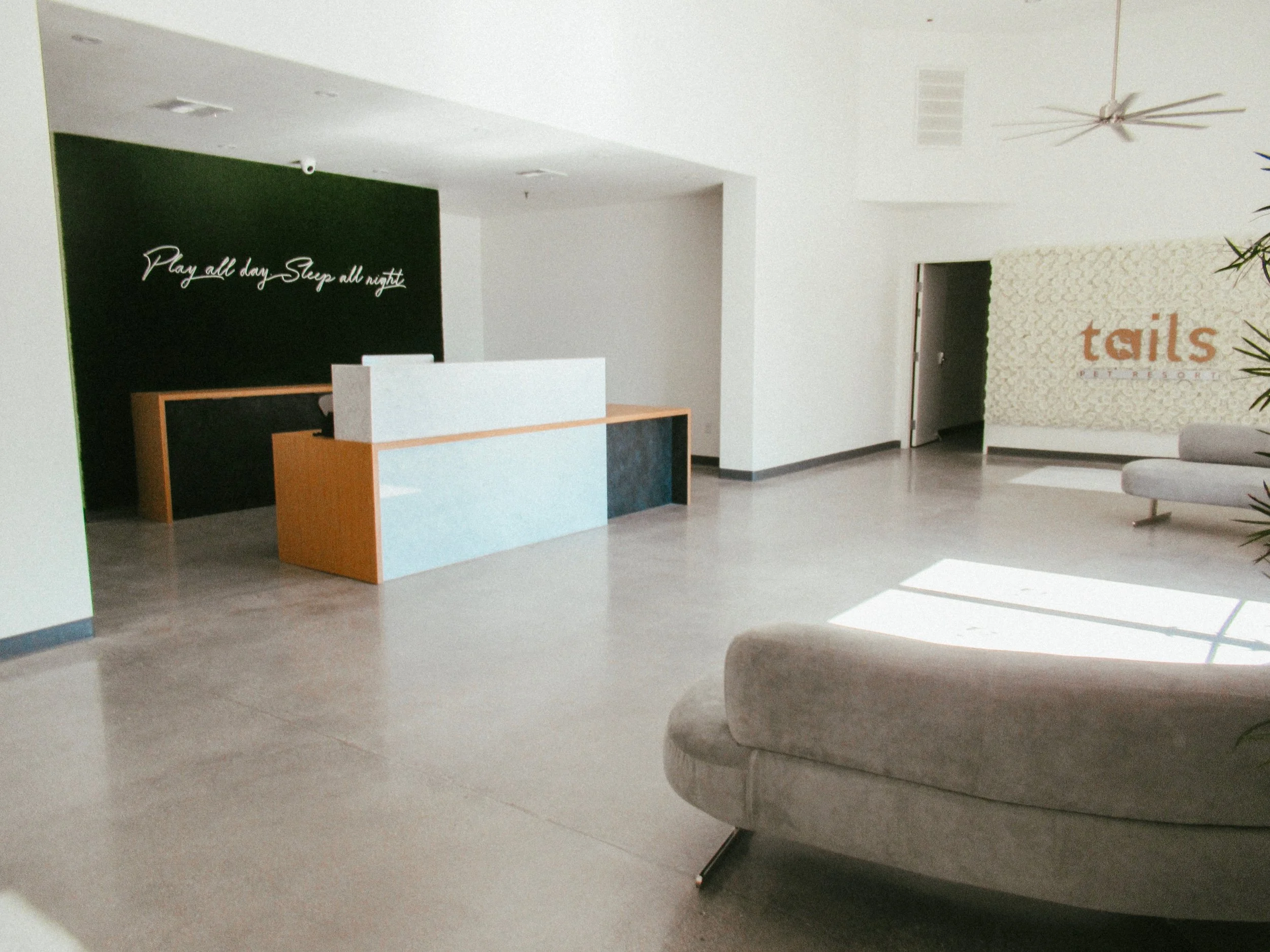 Gallery — Las Vegas Pet Boarding and Grooming Tails Pet Resorts