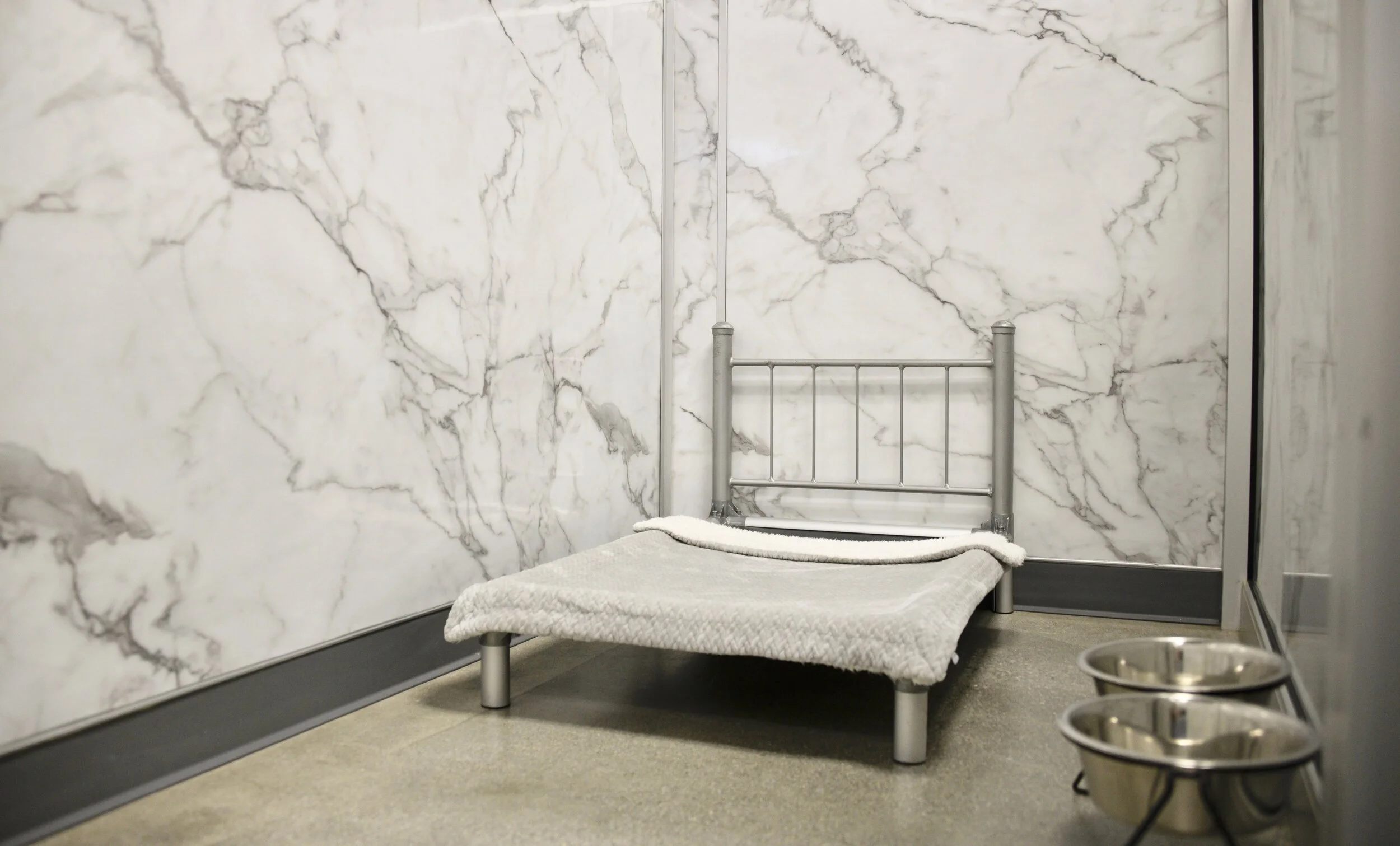 Las Vegas Pet Hotel — Las Vegas Pet Boarding and Grooming Tails Pet