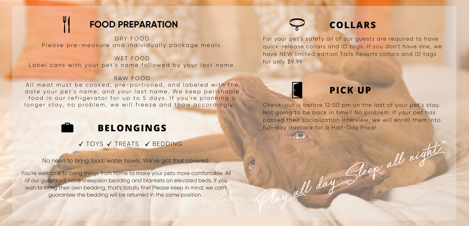 Las Vegas Pet Hotel — Las Vegas Pet Boarding and Grooming Tails Pet