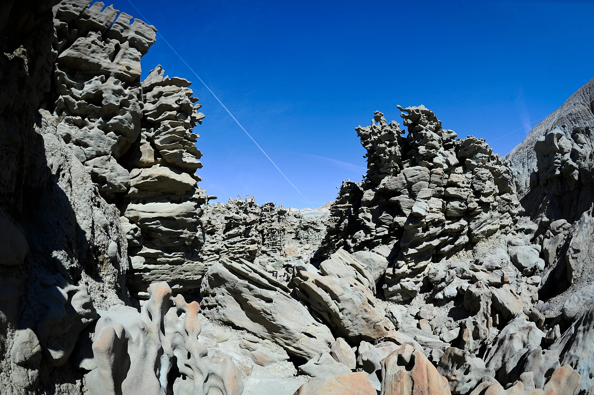 _DSC3217.jpg