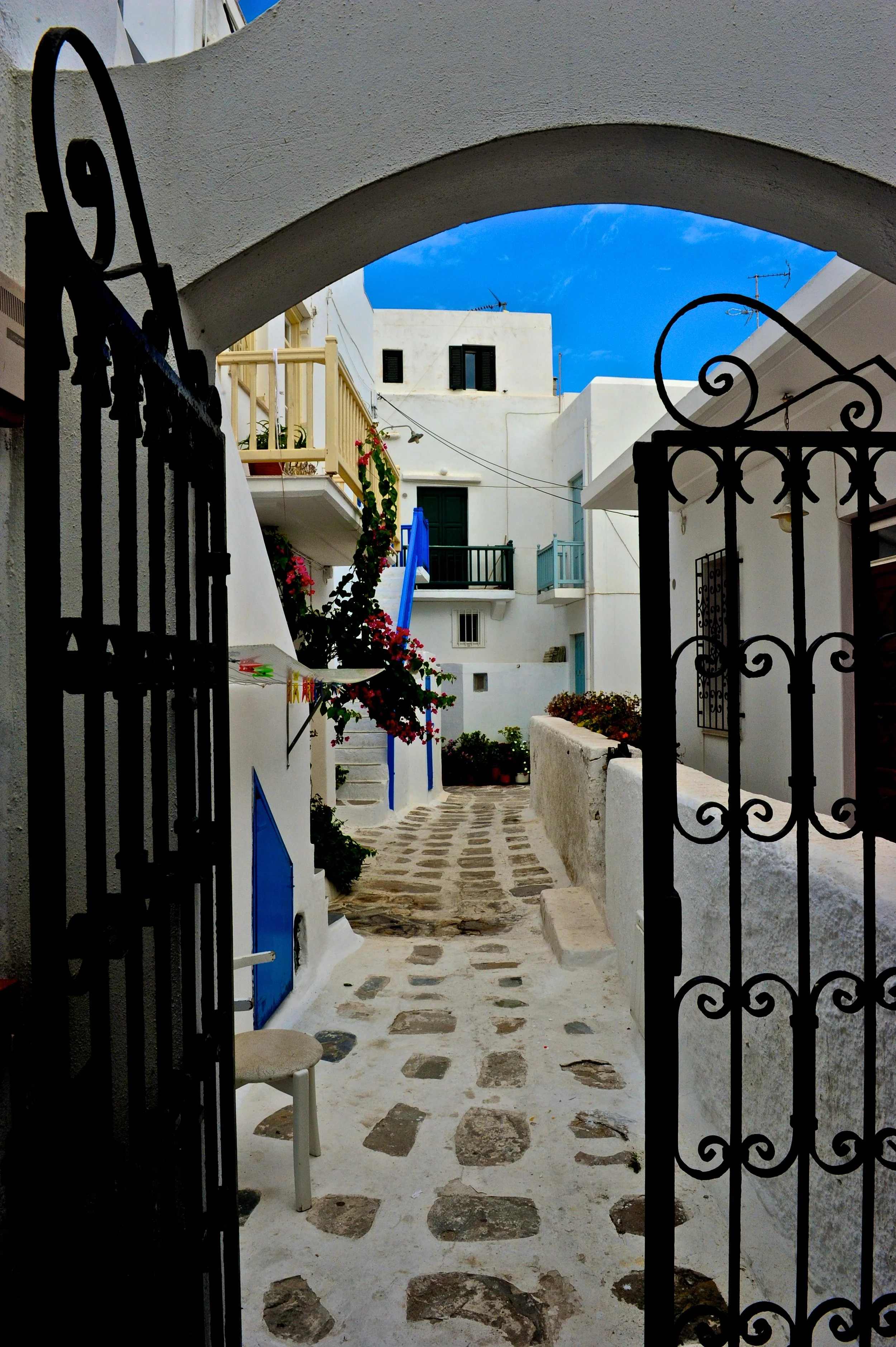 DSC_1428.jpg