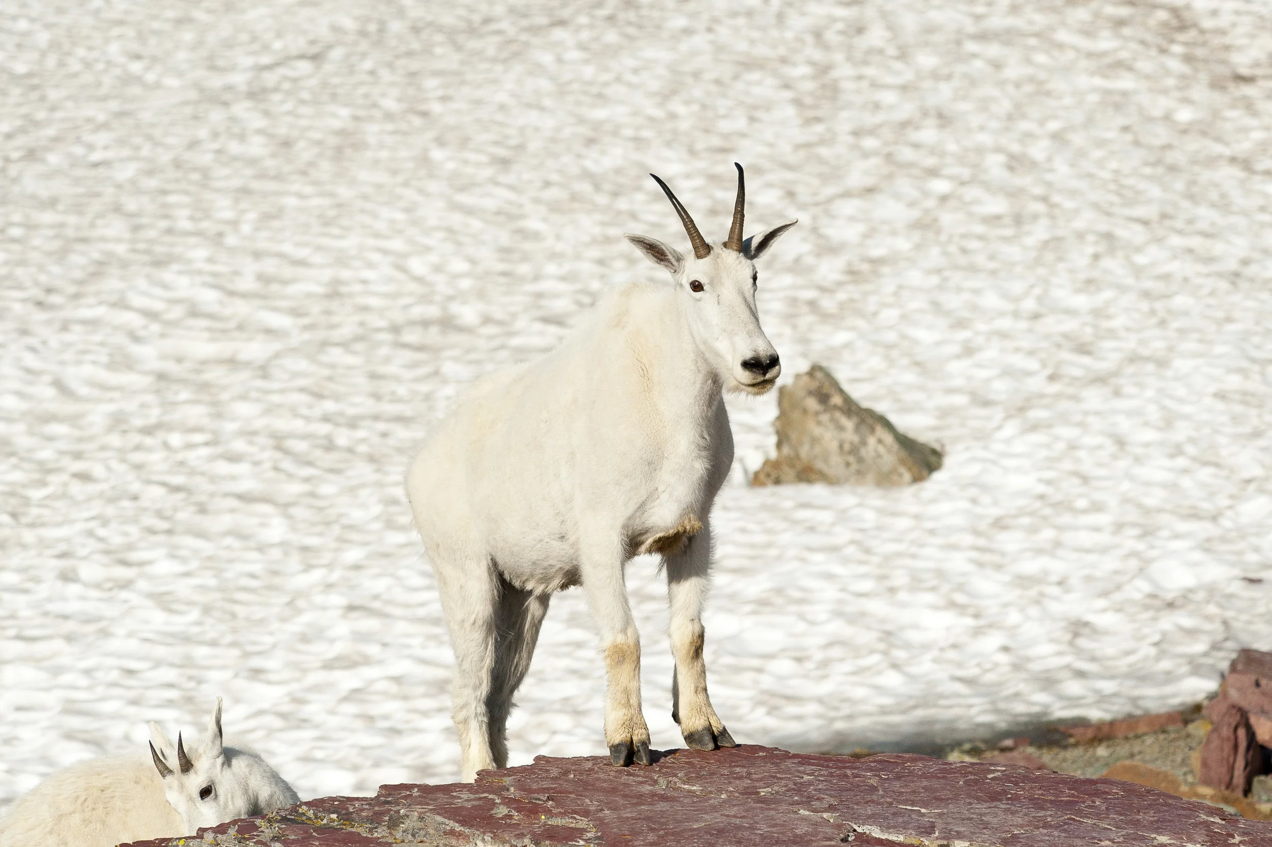 DSC_0646.jpg