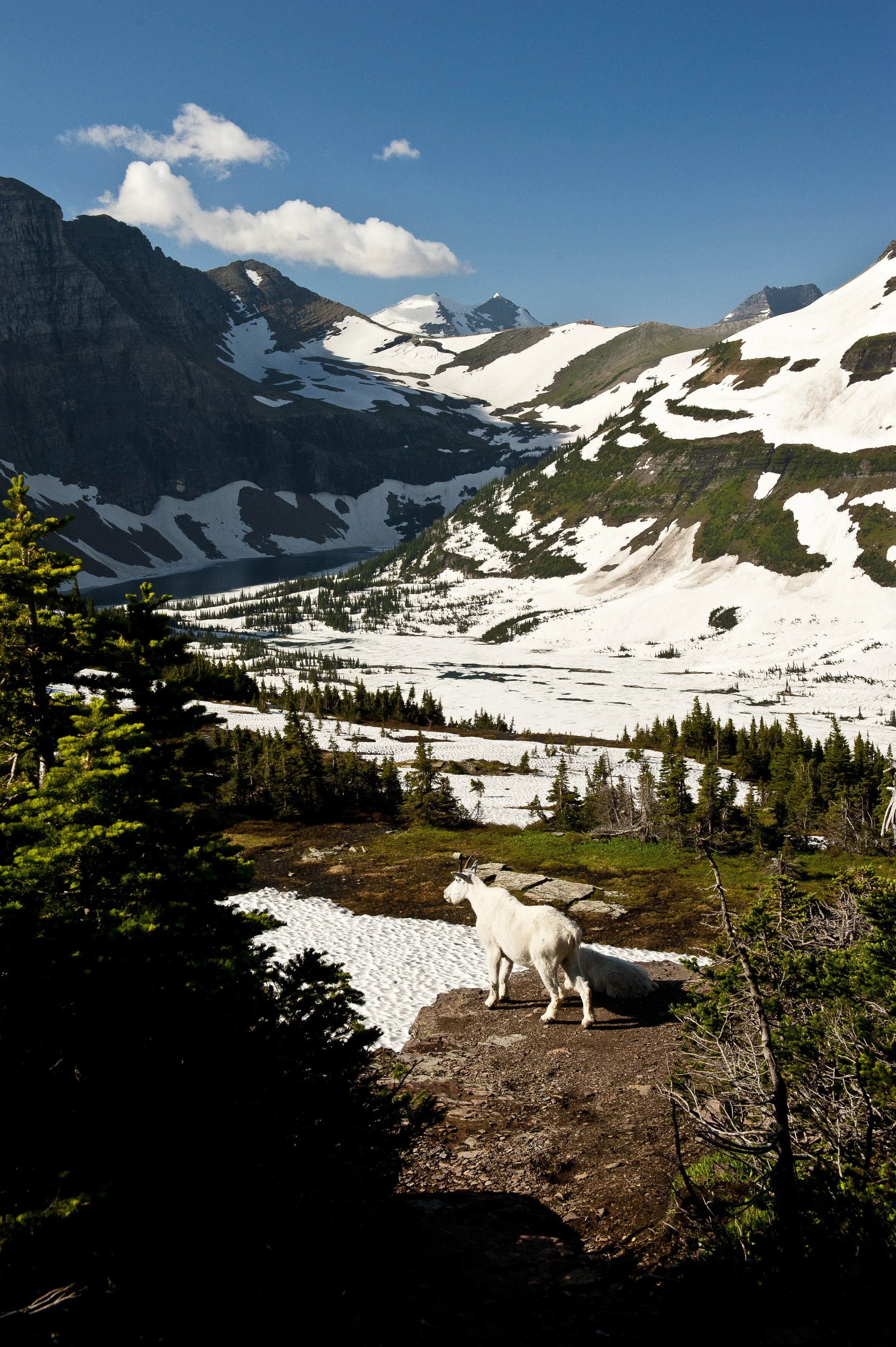 DSC_0714.jpg