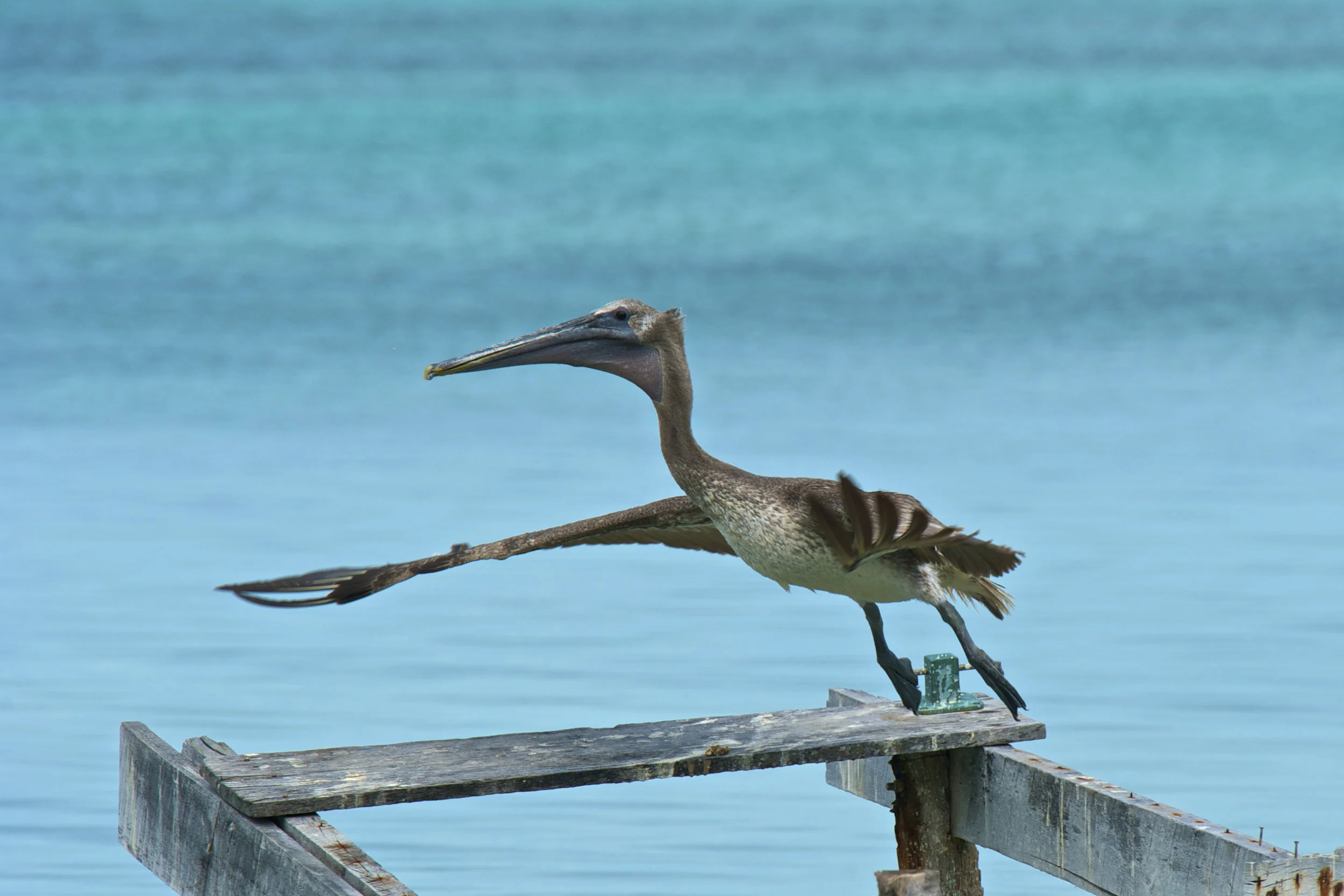 DSC_7162.jpg