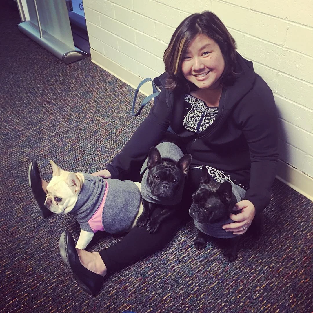 0221618 dogs.jpg