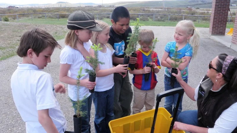 tree_arbor_day_giveaway.jpg