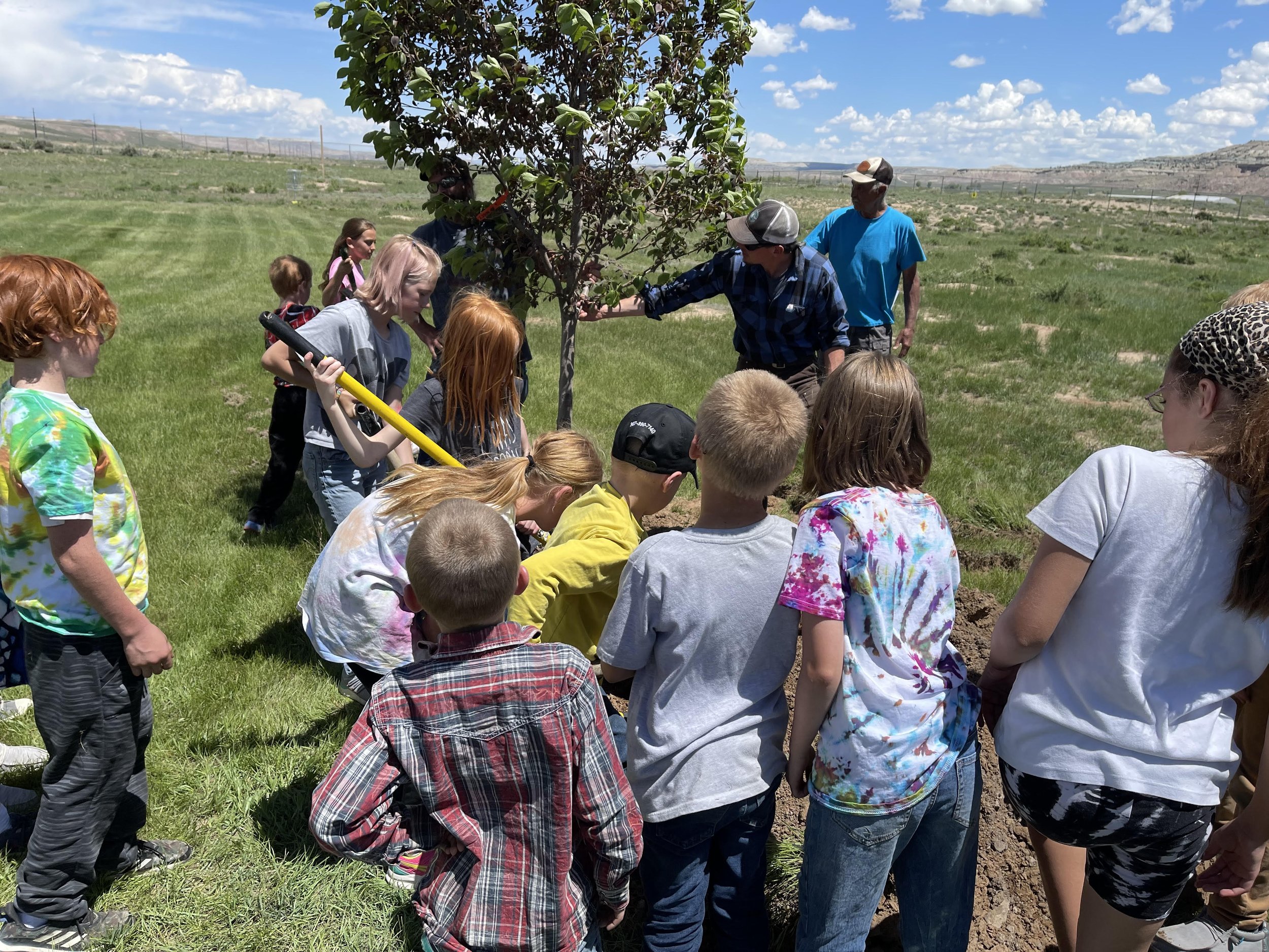 La Barge Arbor Day.jpg