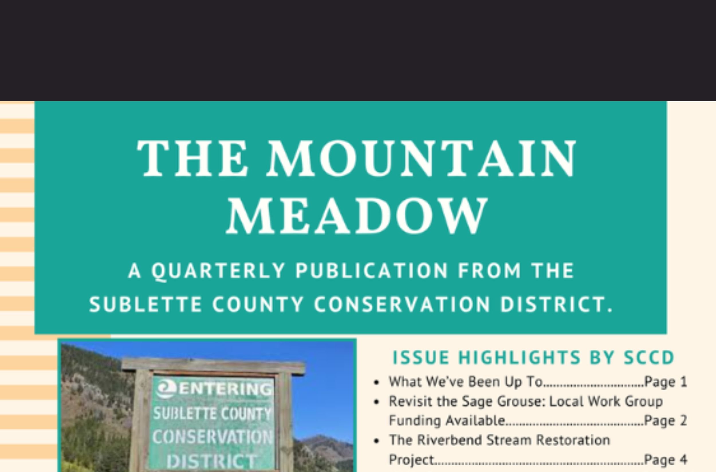 Mountain Meadow Newsletter