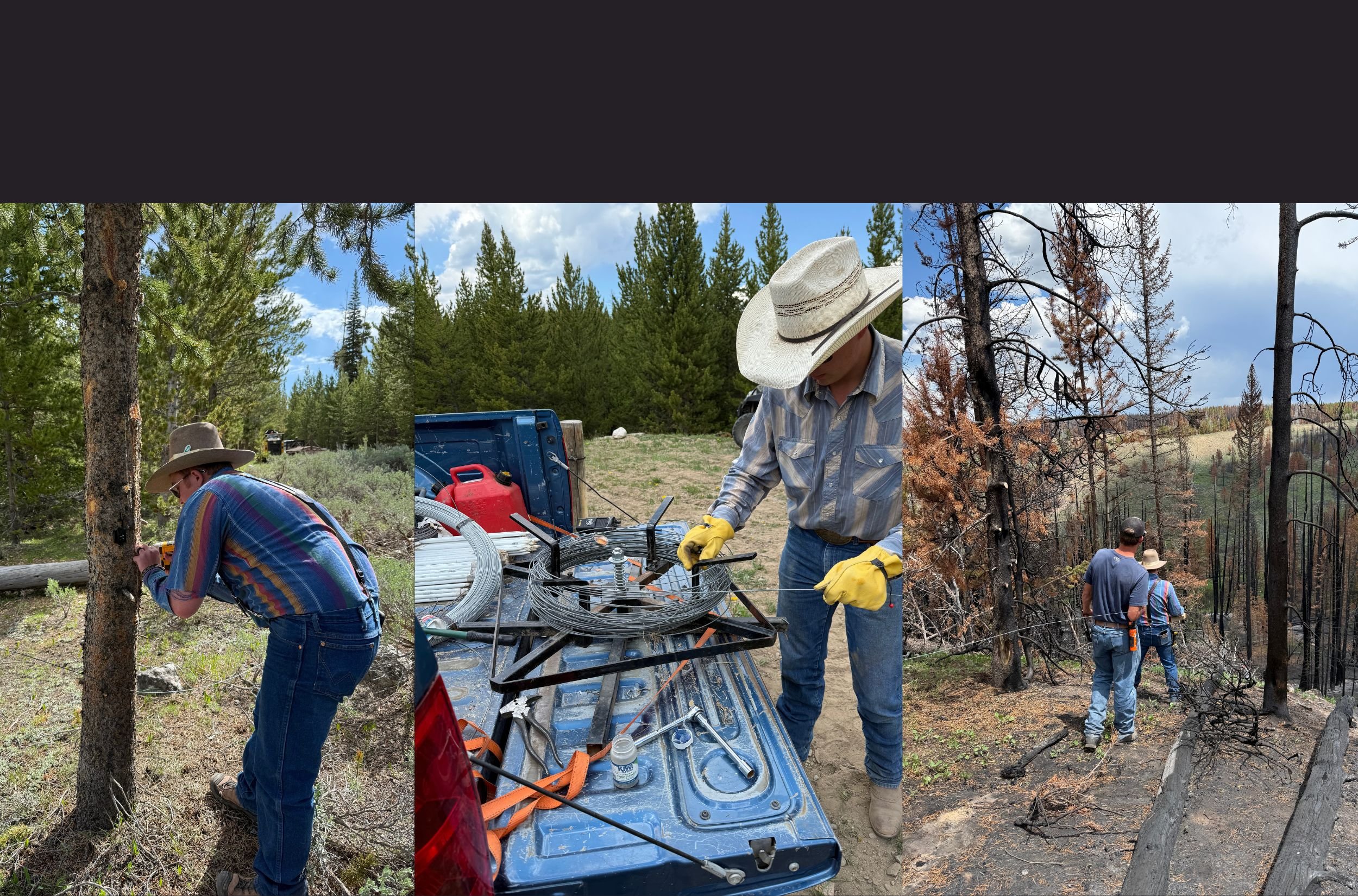 Pack Trail Fire Fencing