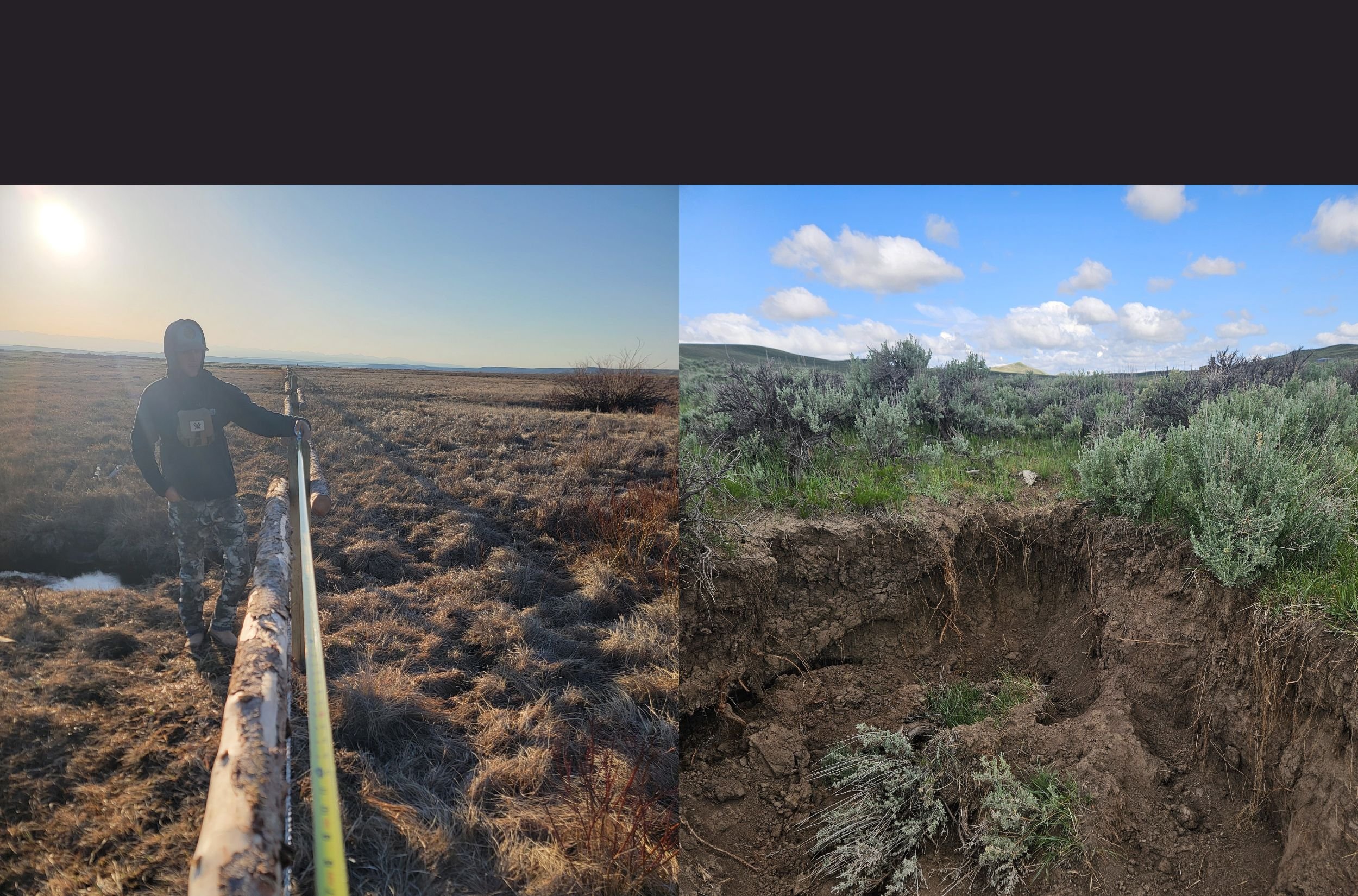Wildlife and Habitat Program