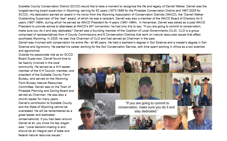 Screenshot (167).png