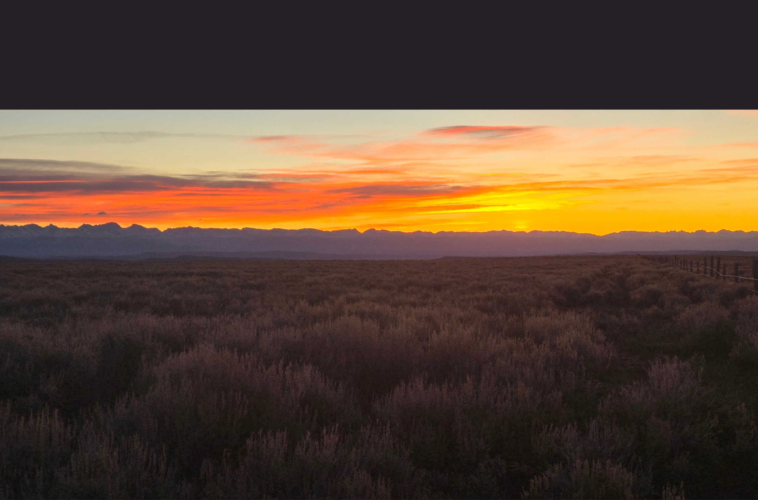 Wildlife &amp; Habitat Program