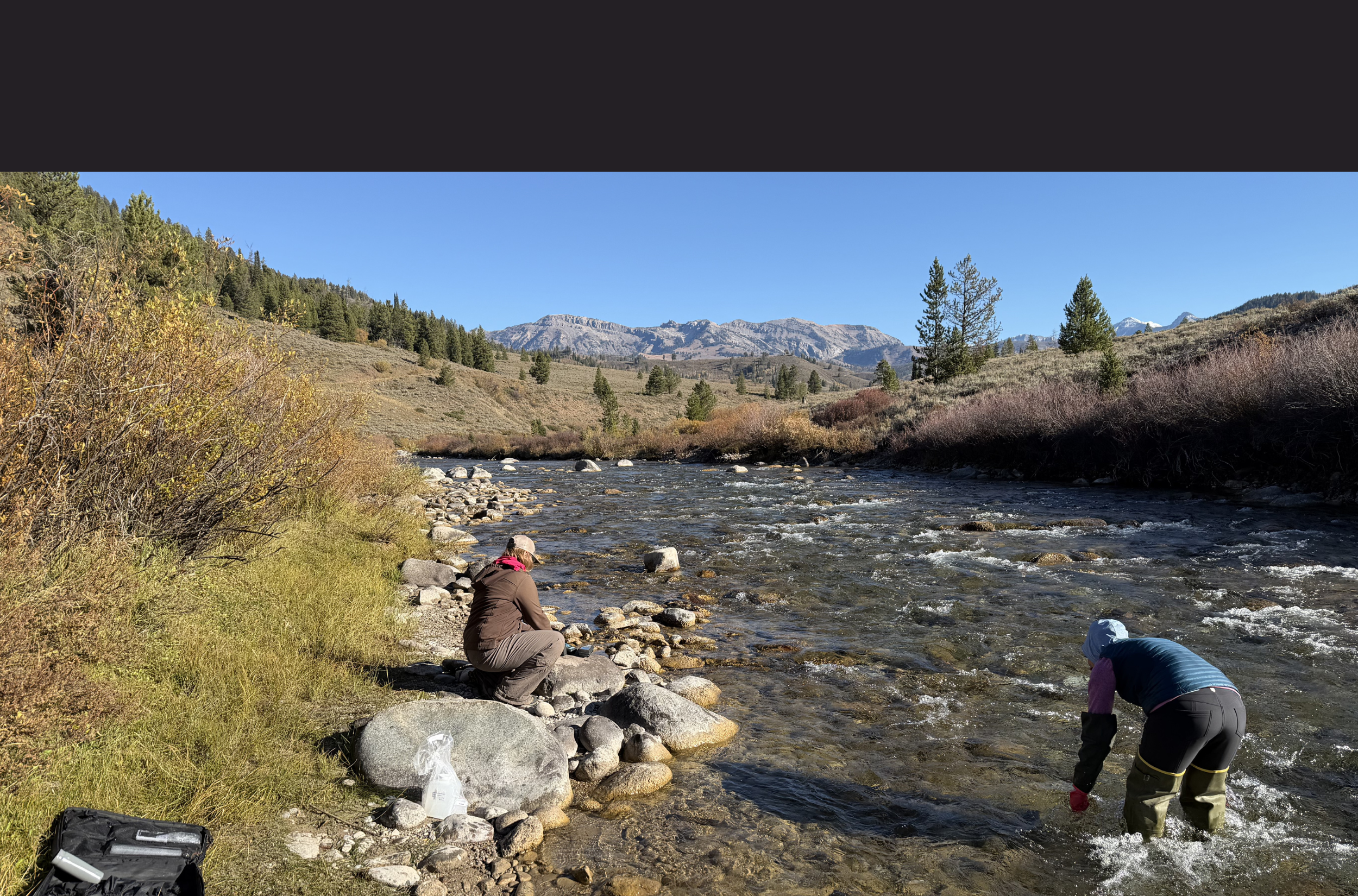 Surface Water Quality Program