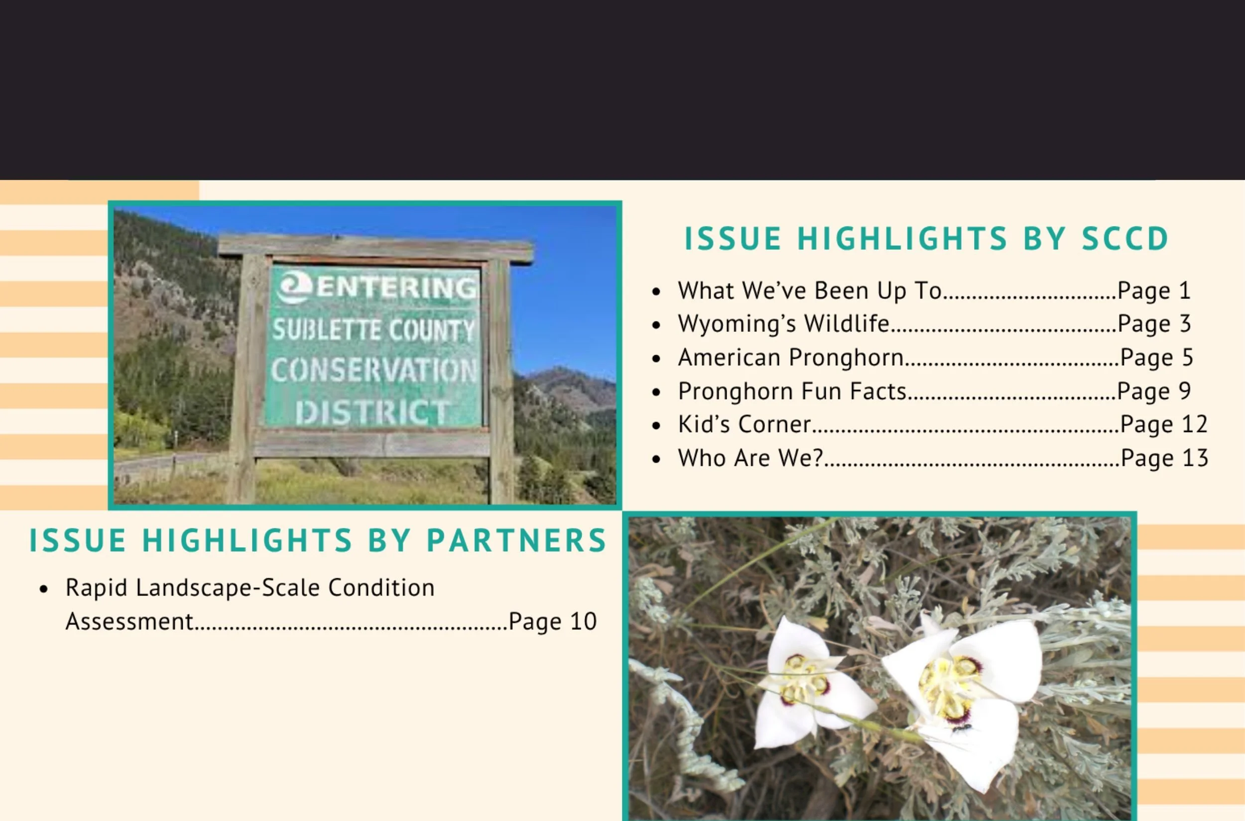  In this issue read about, what we have been up to, Wyoming’s Wildlife, American Pronghorn, Rapid Landscape-Scale Condition Assessment.  Click on the image below to view our newsletter.    