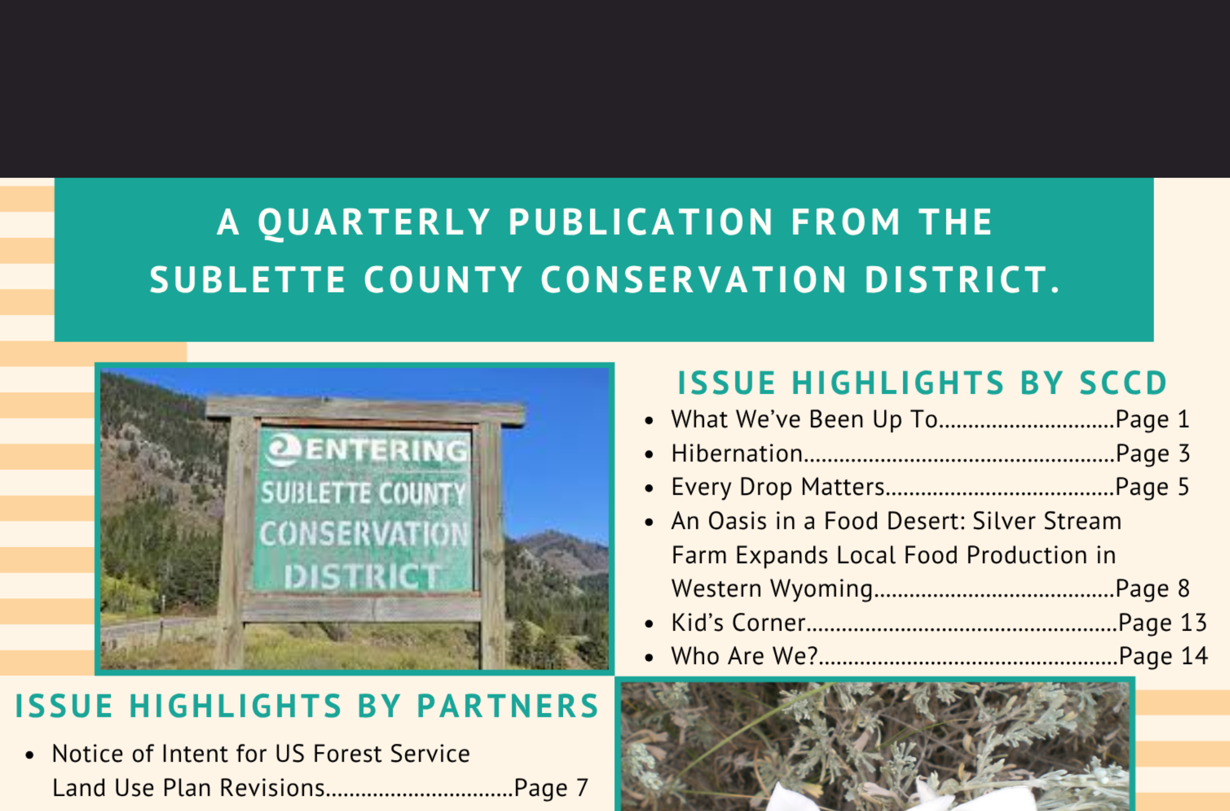 Mountain Meadow Newsletter