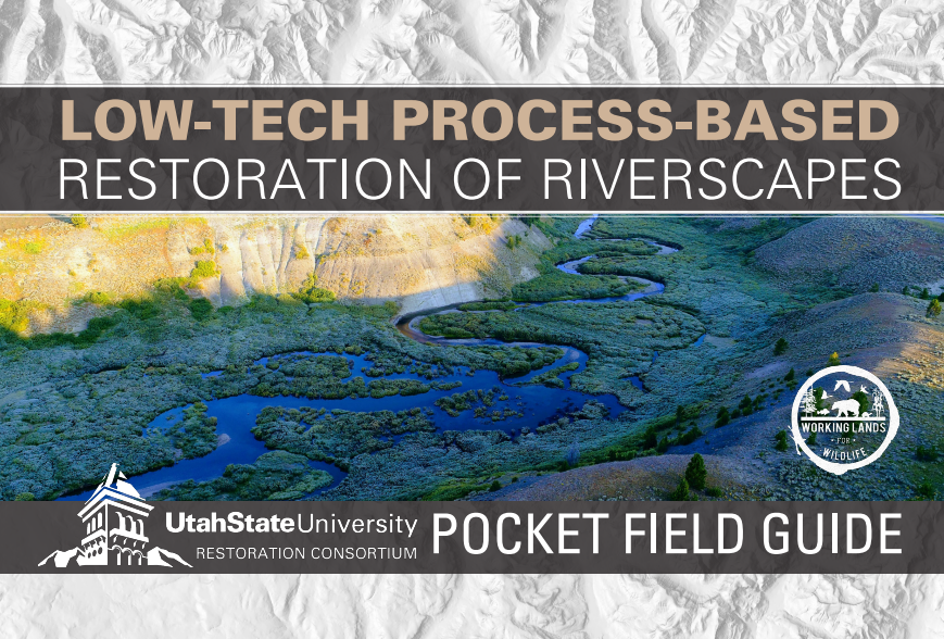 Low-Tech Restoration — Sublette County Conservation District
