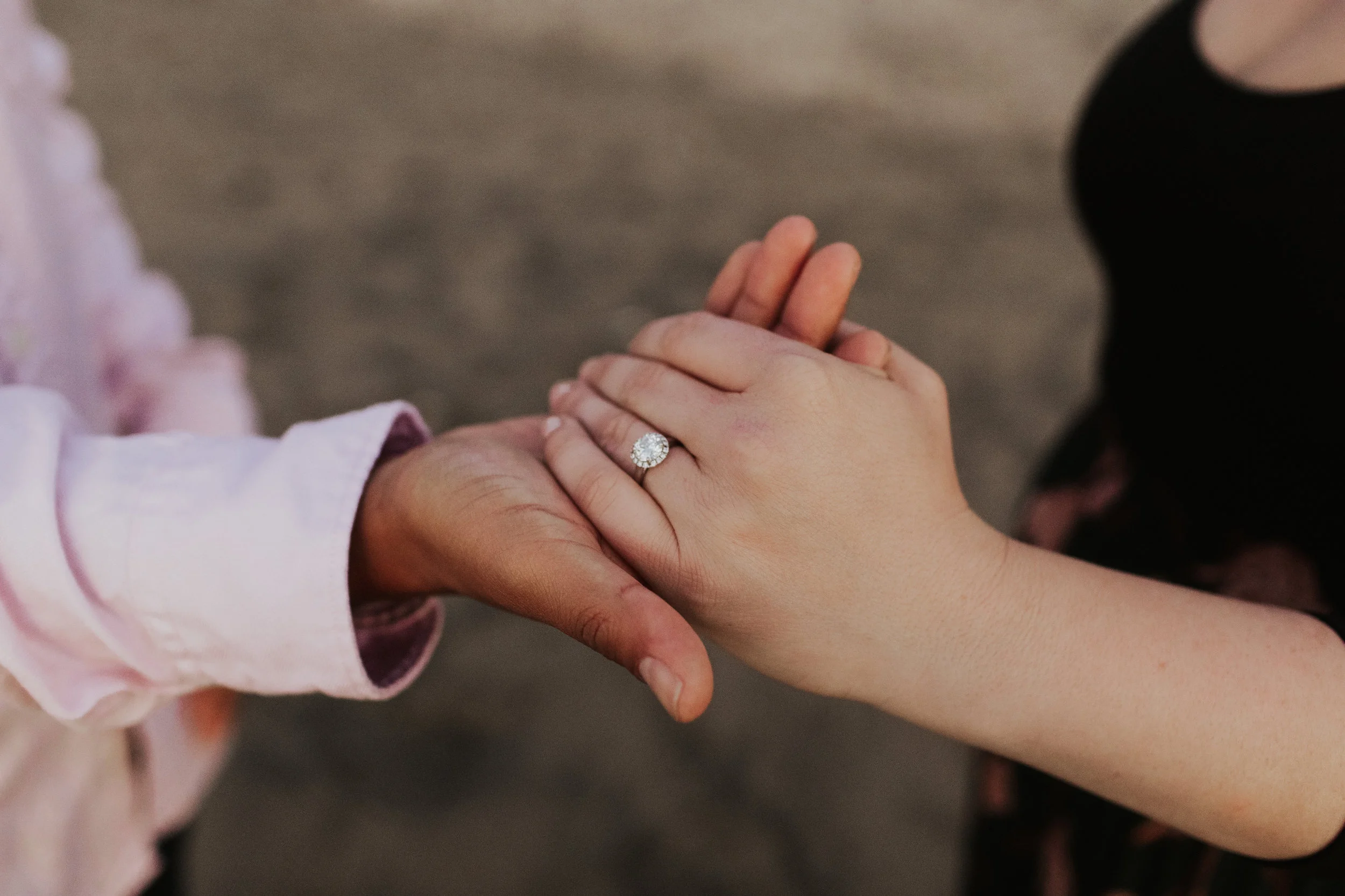 Erin-Rene-Kramer-Finished-San-Francisco-Redwoods-Legion-of-Honor-Sutro-Baths-Engagement-Session-with-Dog-133.jpg