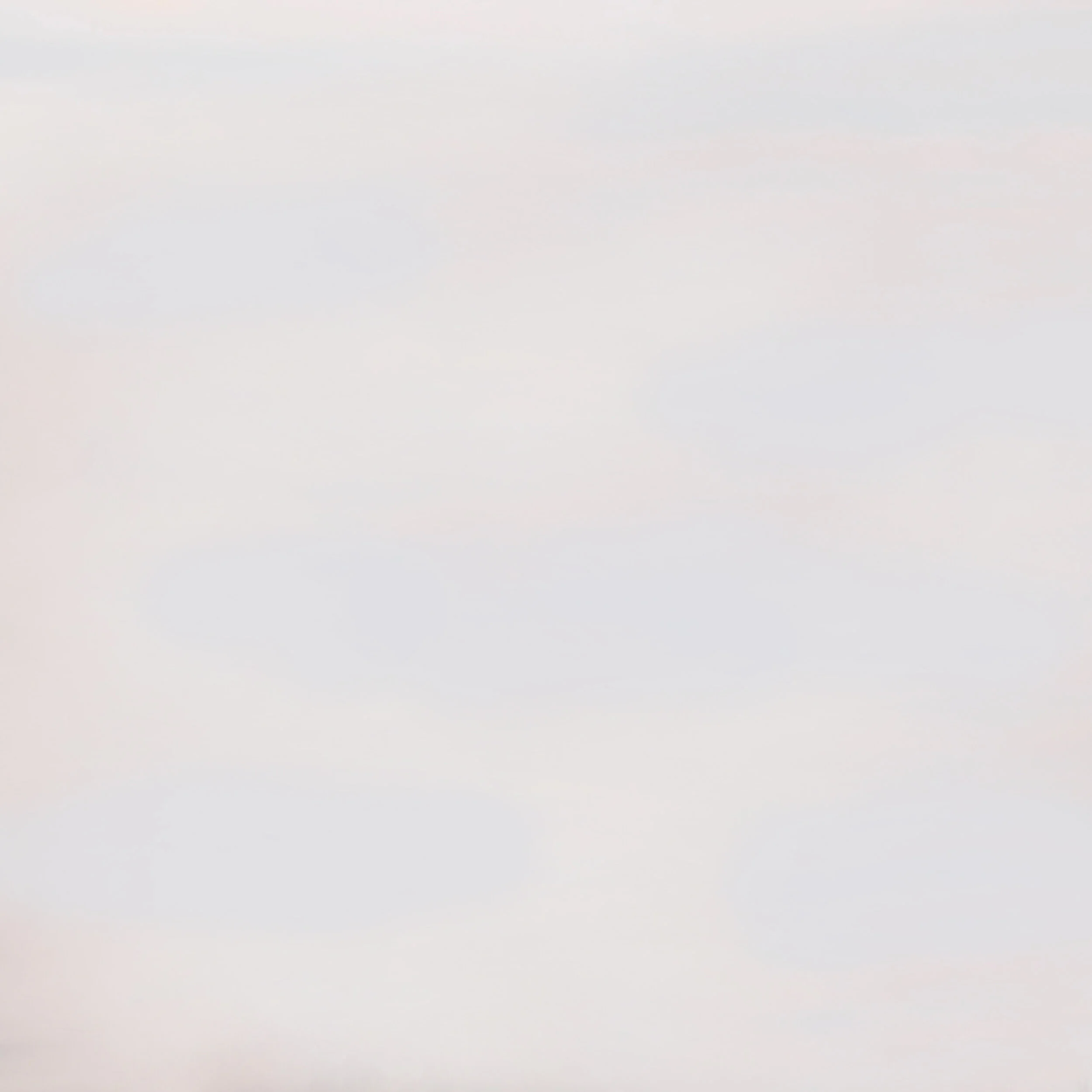 back with blue fixed.jpg