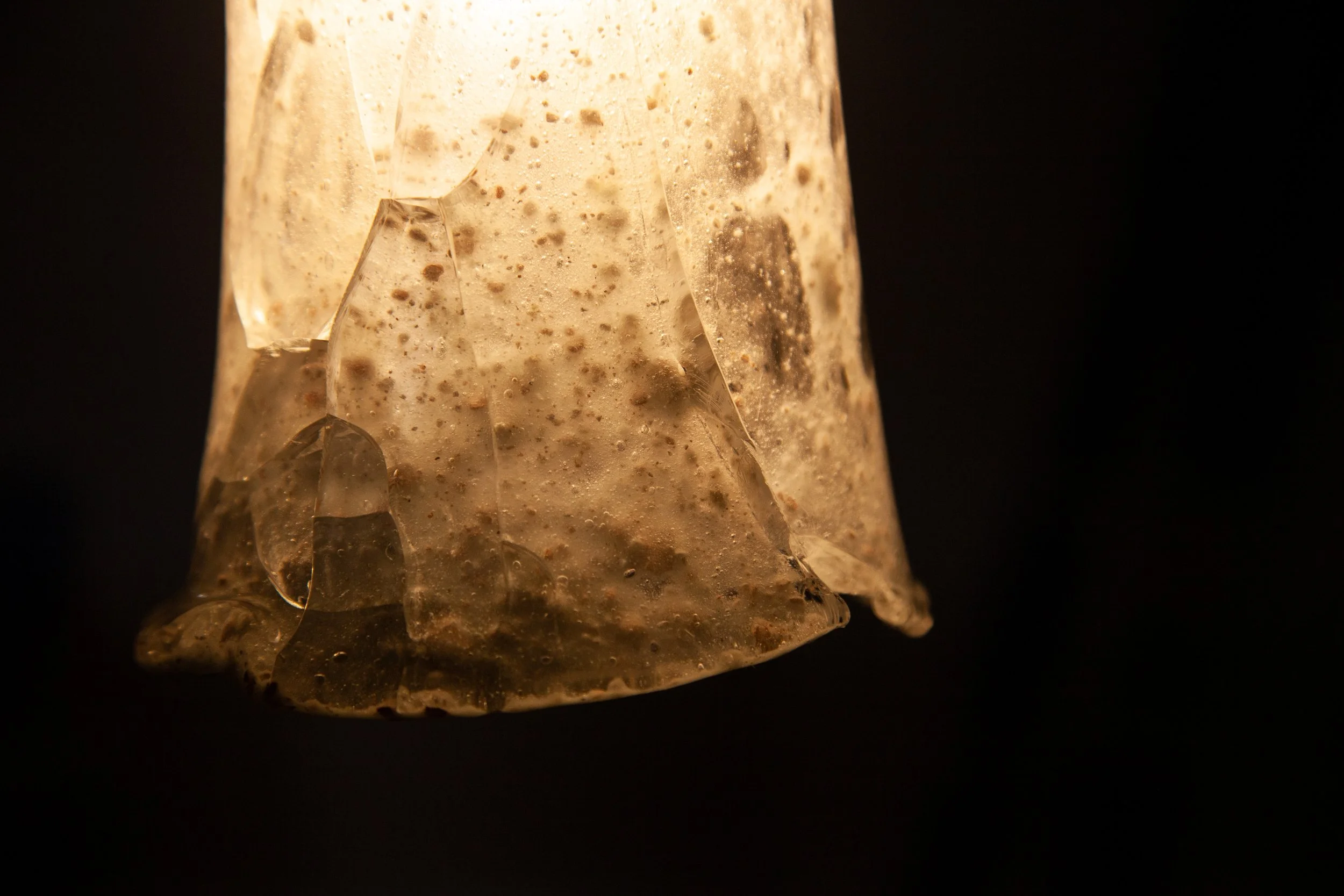 thesis images-18.jpg