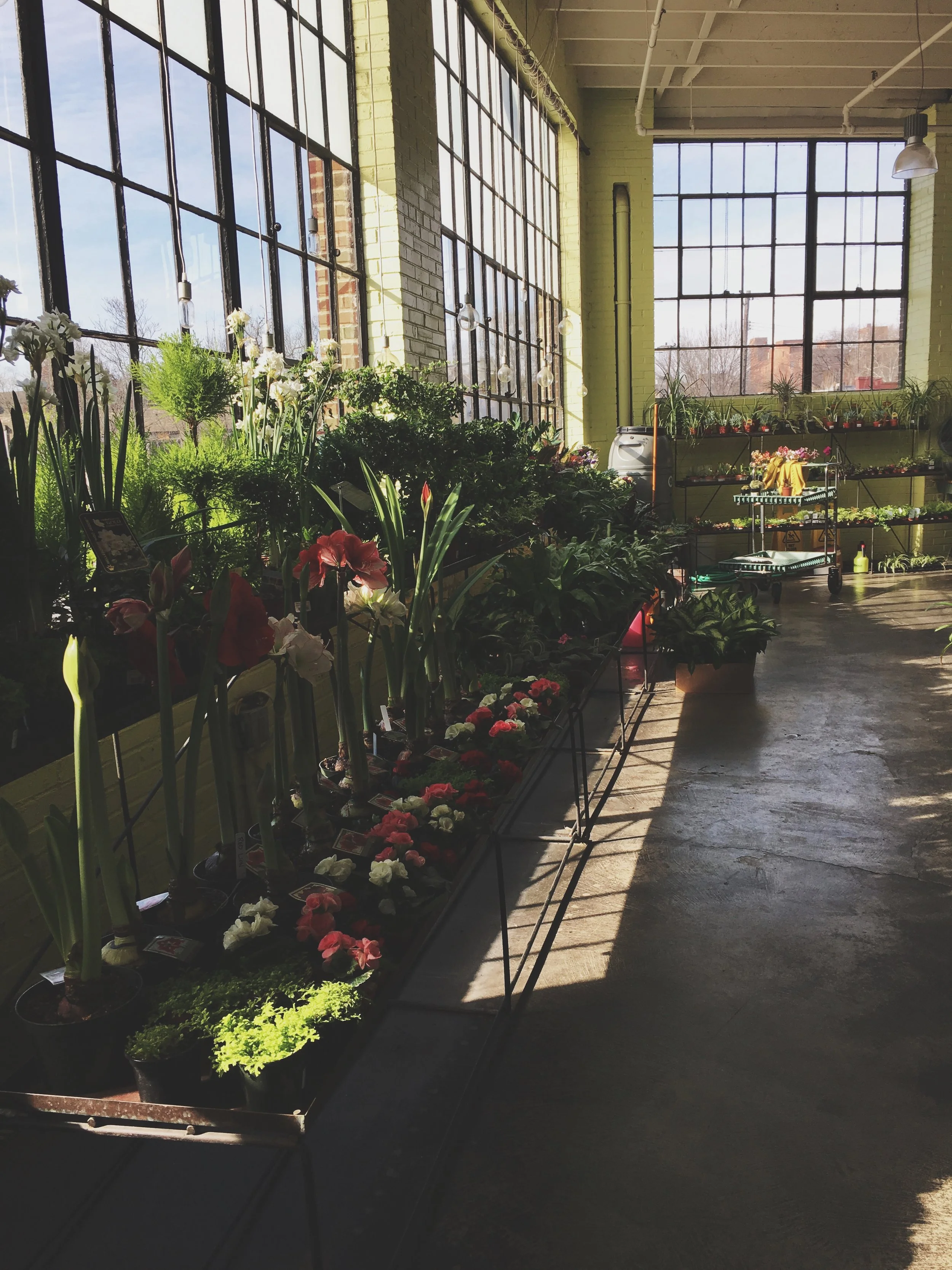 Cafe Osage & Bowood Farms|Nursery