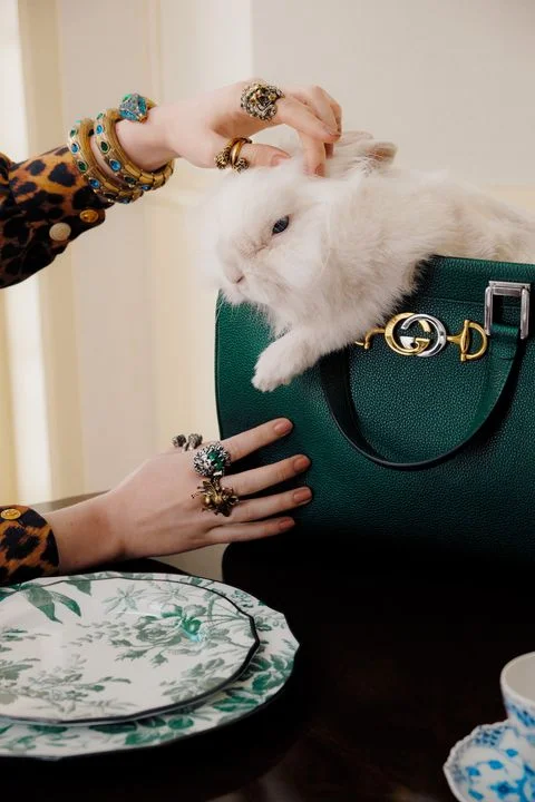 harpersbazaar-gucci-123-1553524700.jpg