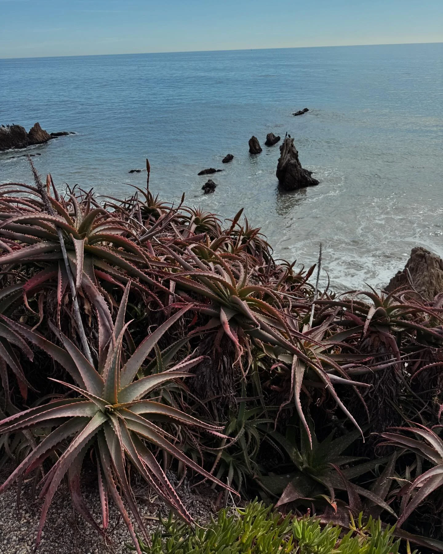 Scout images from a Malibu work trip 🌊