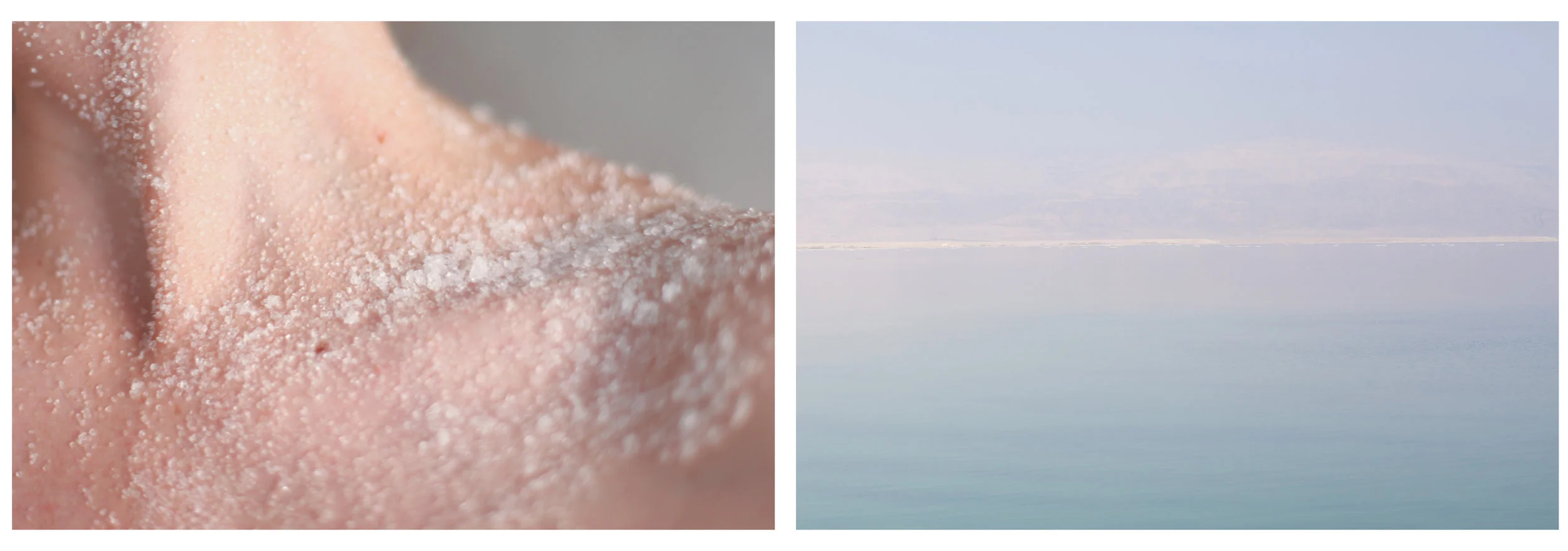 When salt grows as tall as redwoods digital archival prints