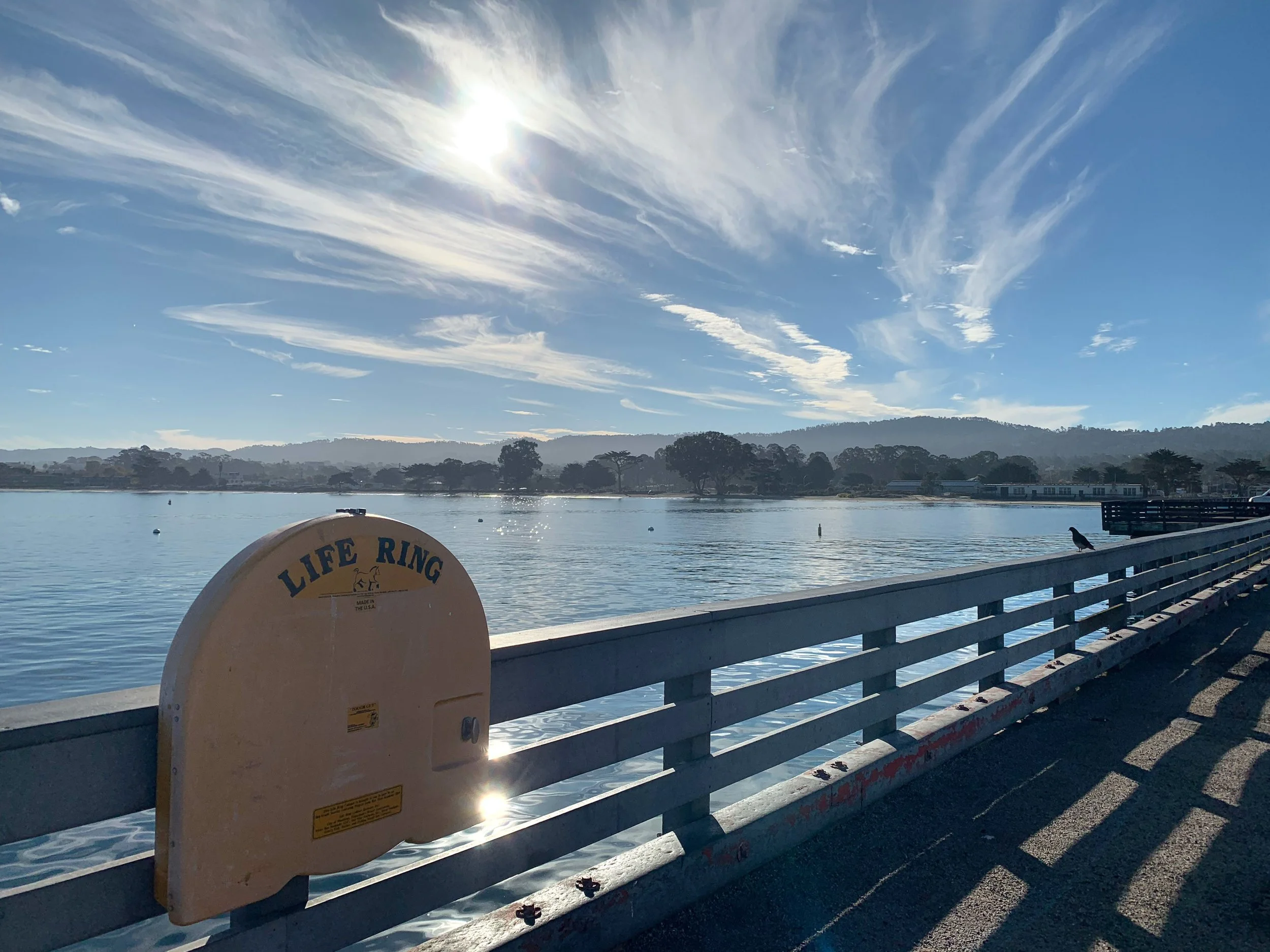 How Monterey Bay Finds Its Way Into My Mysteries