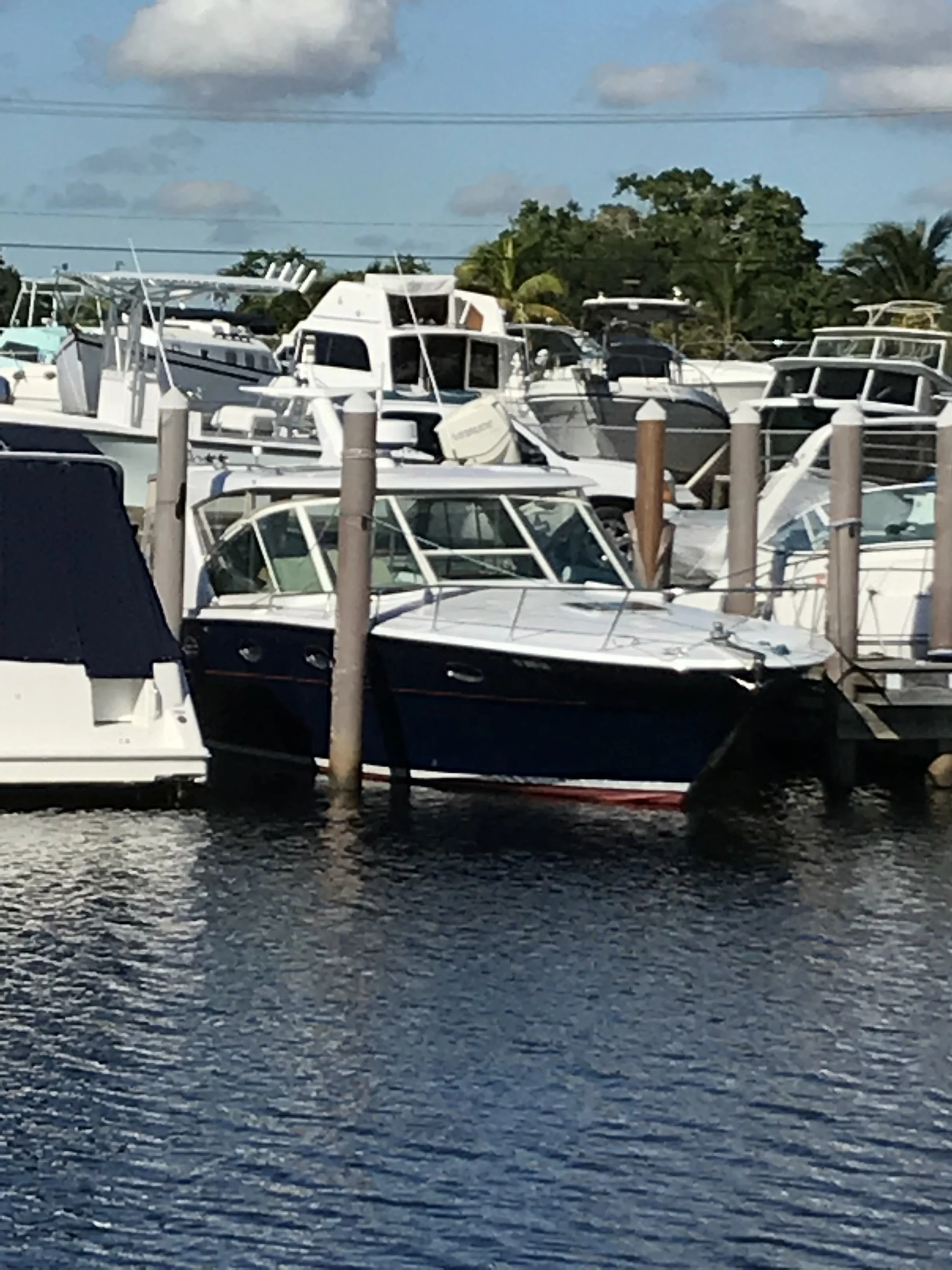 IMG_6338.JPG