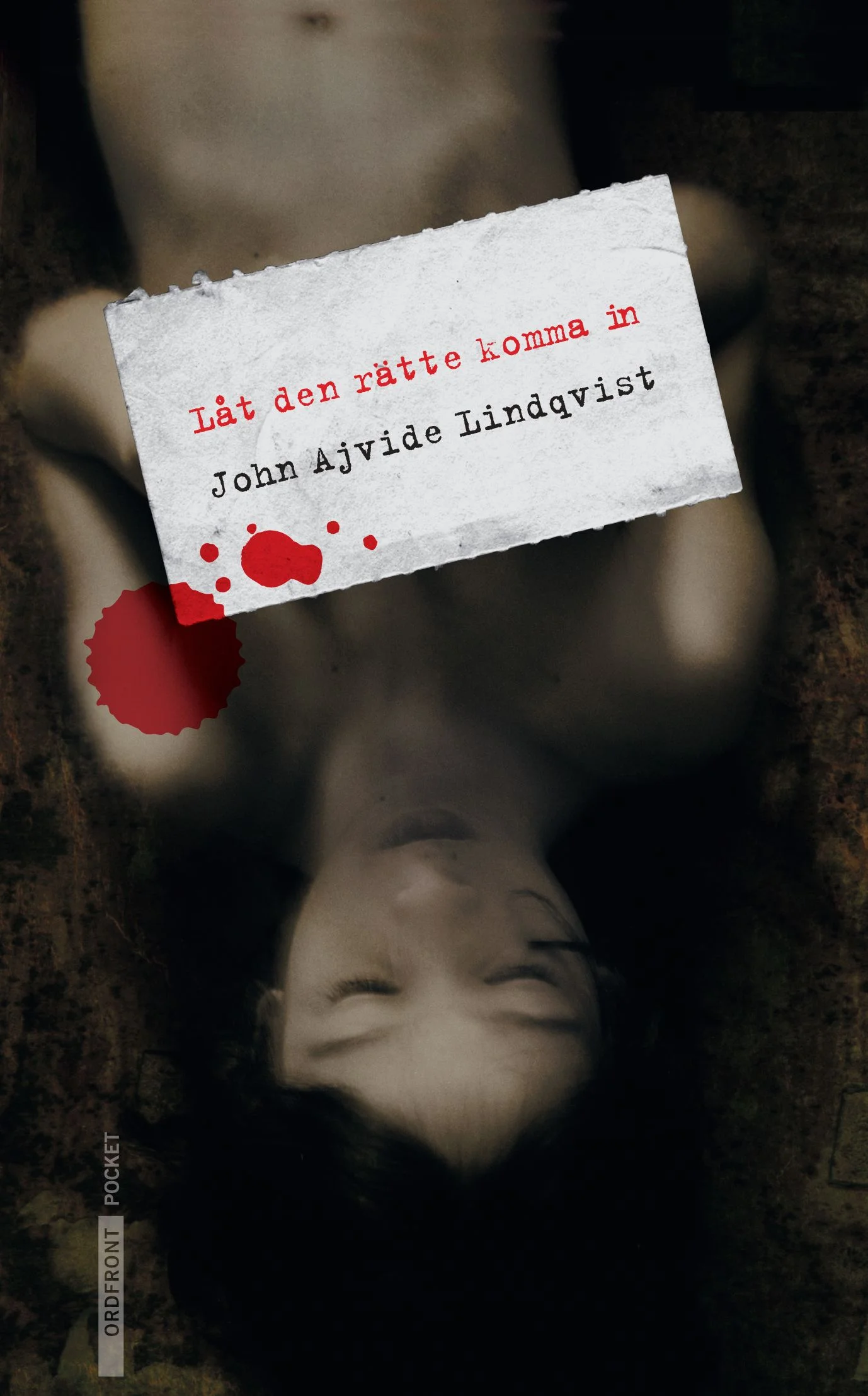 novel cover