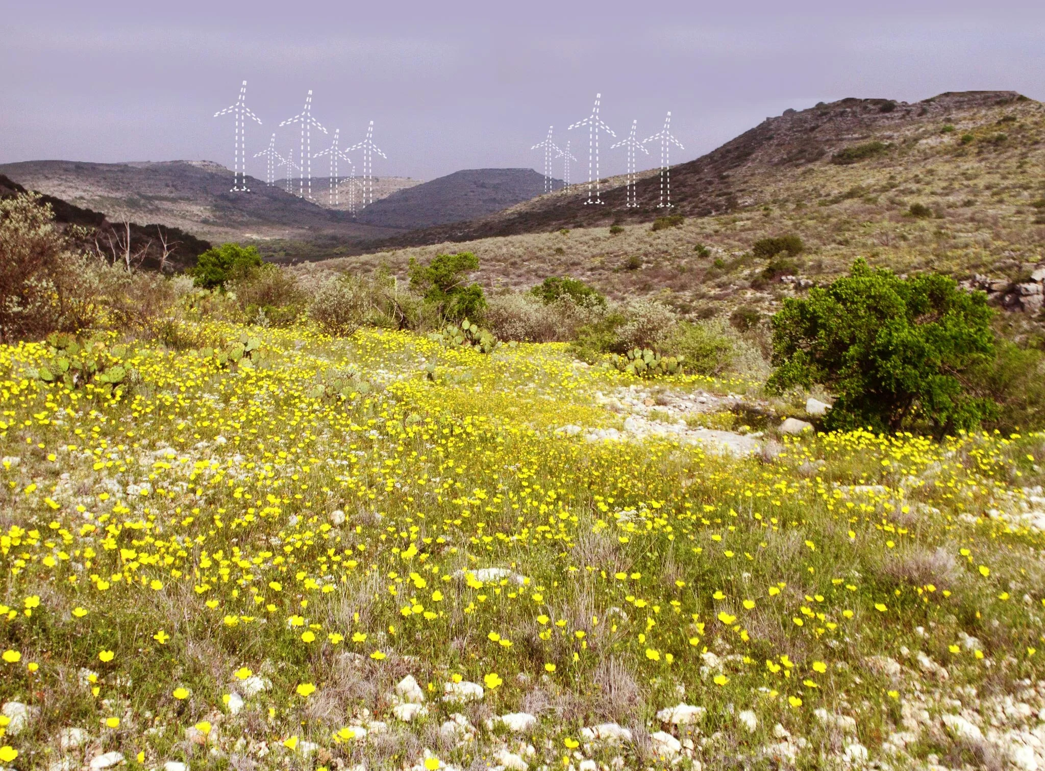 webphoto4.jpg