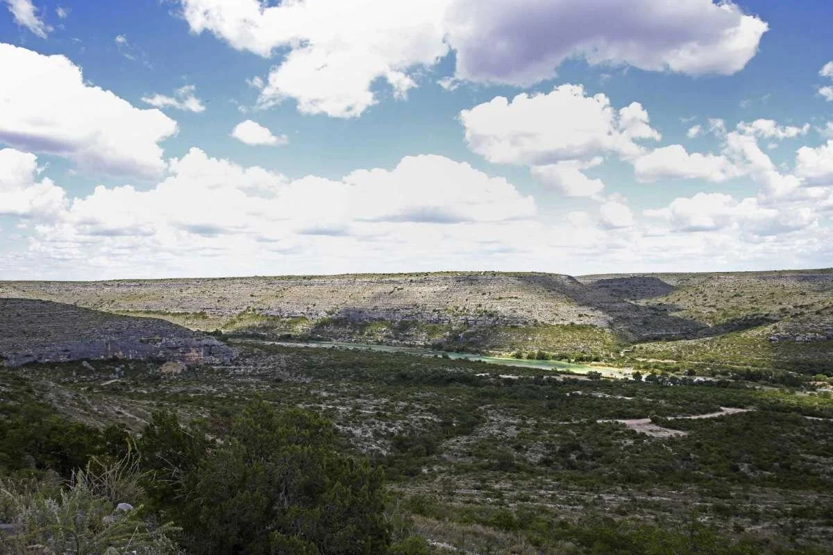 gallery_xlarge (1).jpg