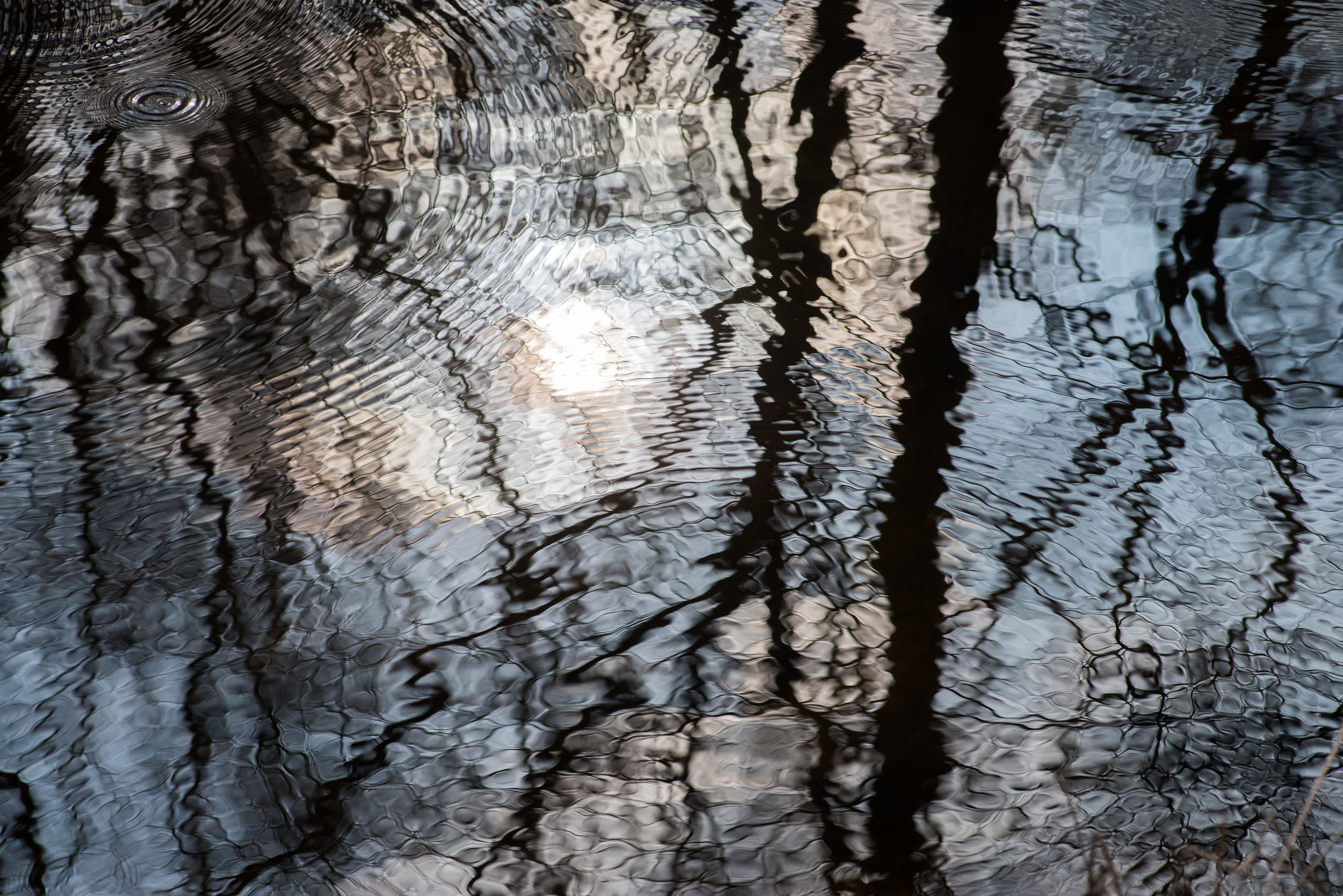 Ripples and Reflections