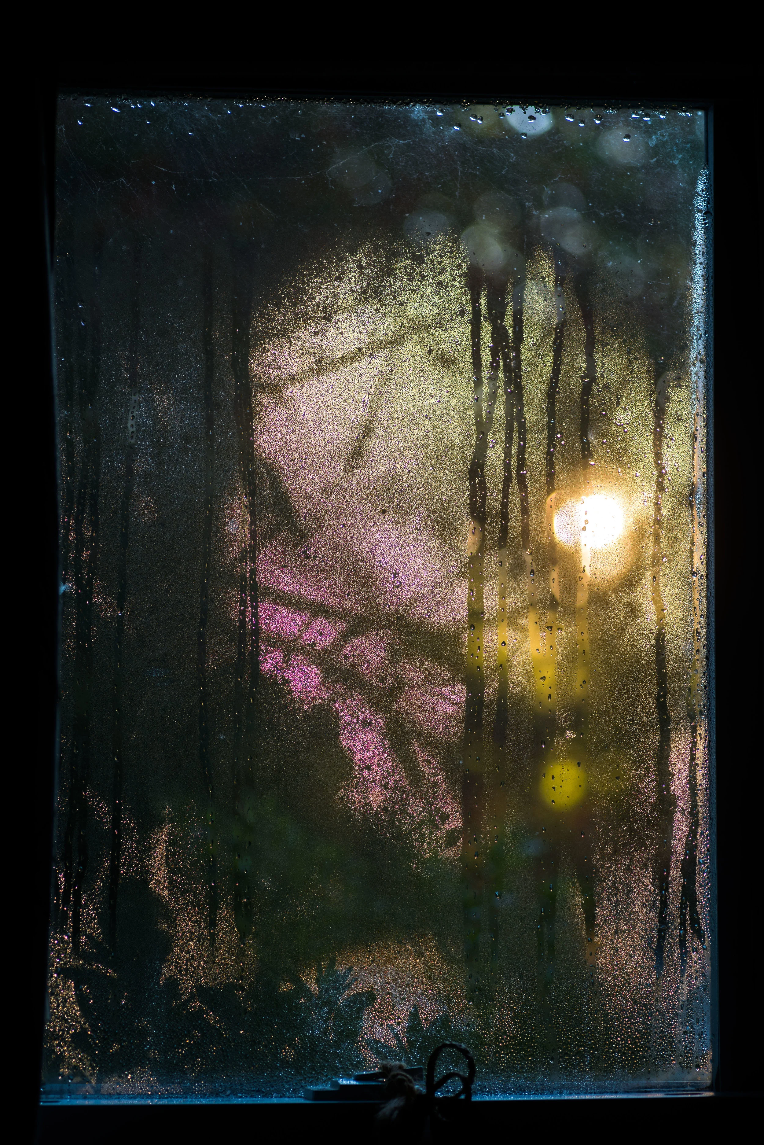 Window Art