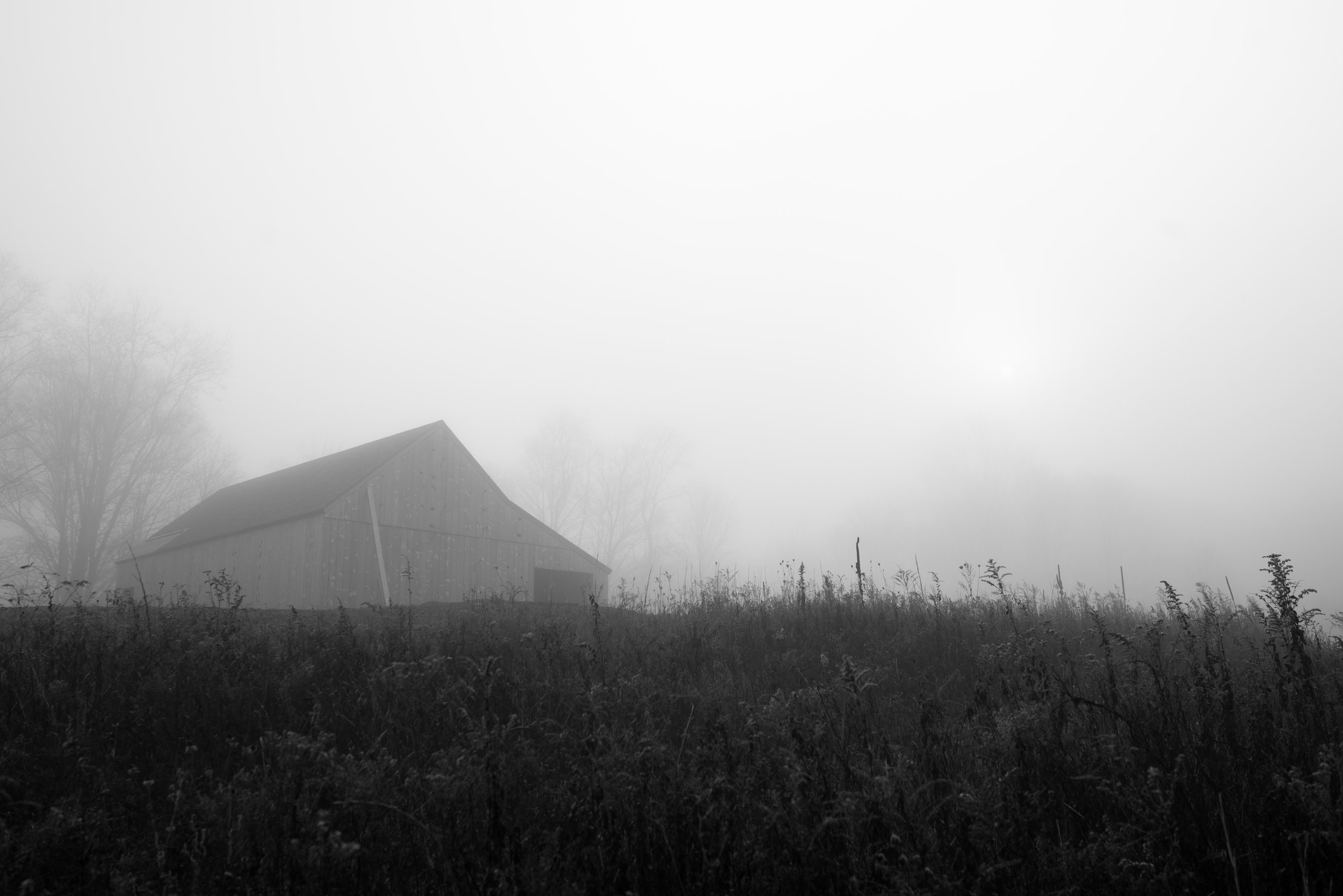 barn_in_fog.jpg