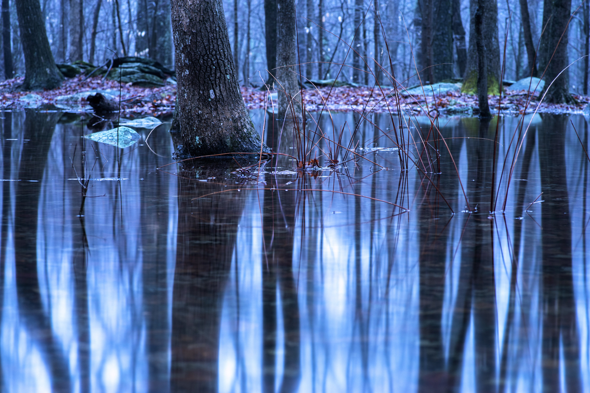 twilight_reflections_working_2_6_18.jpg