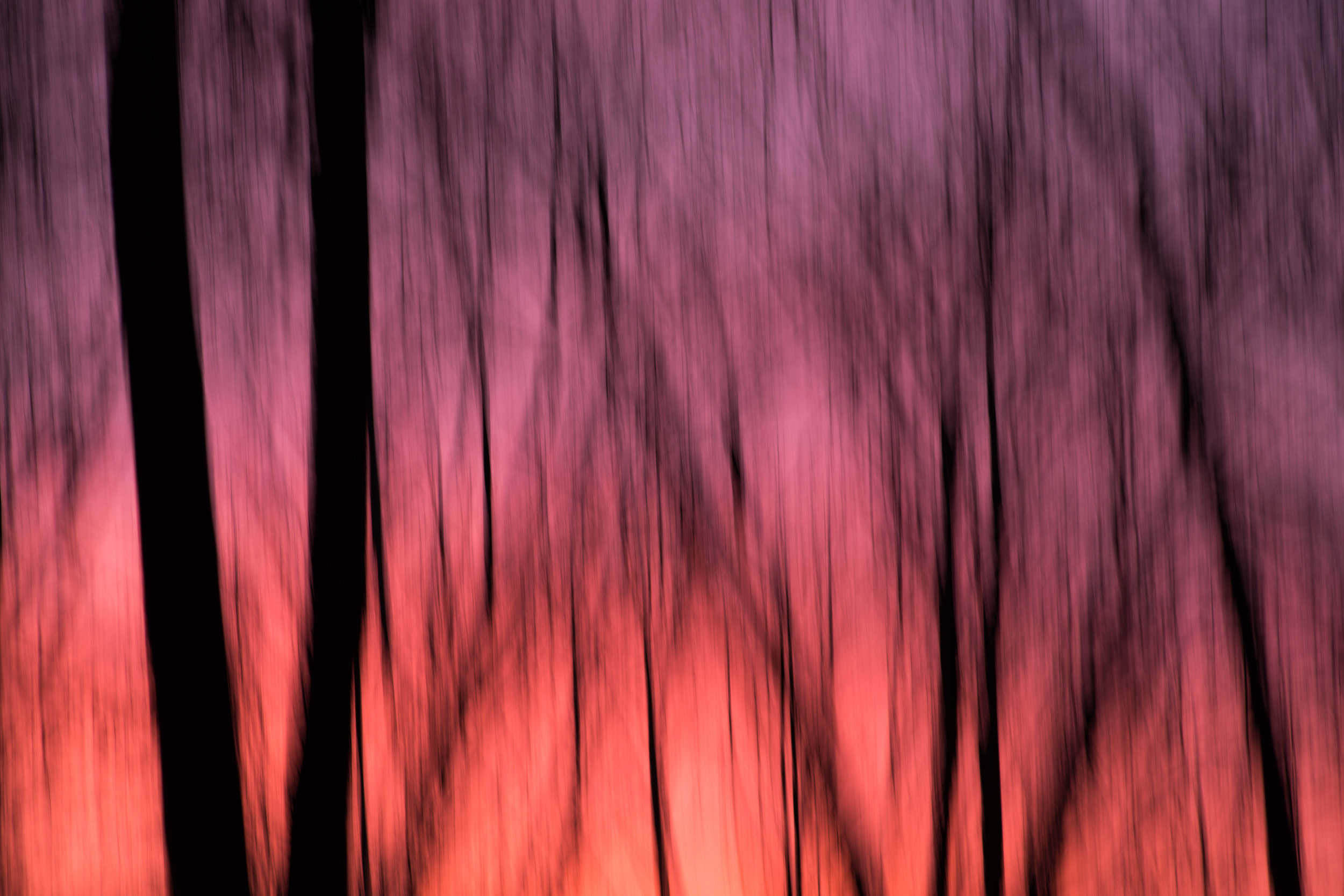 pink_sunset.jpg