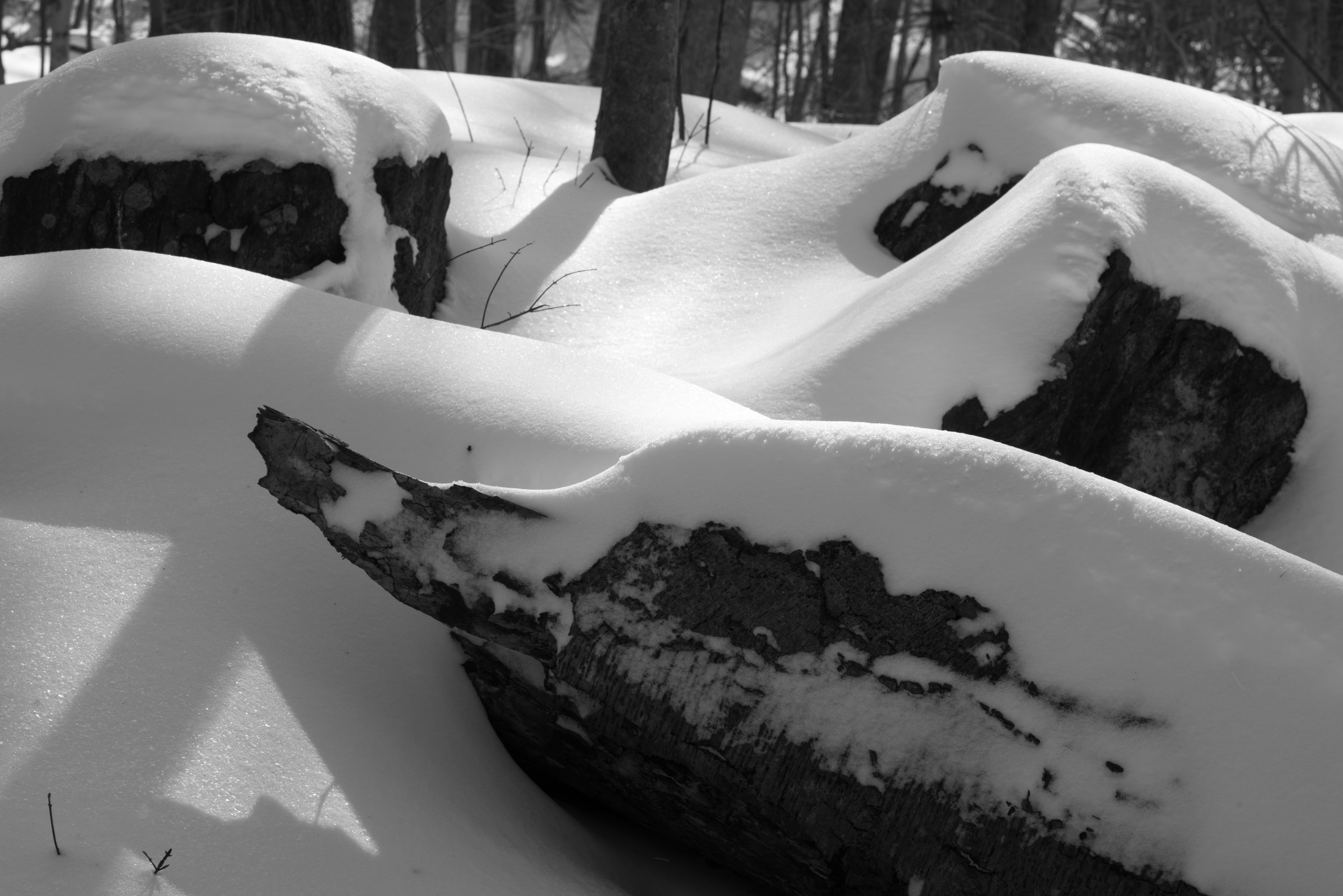 snowdrifts_logs_rocks.jpg