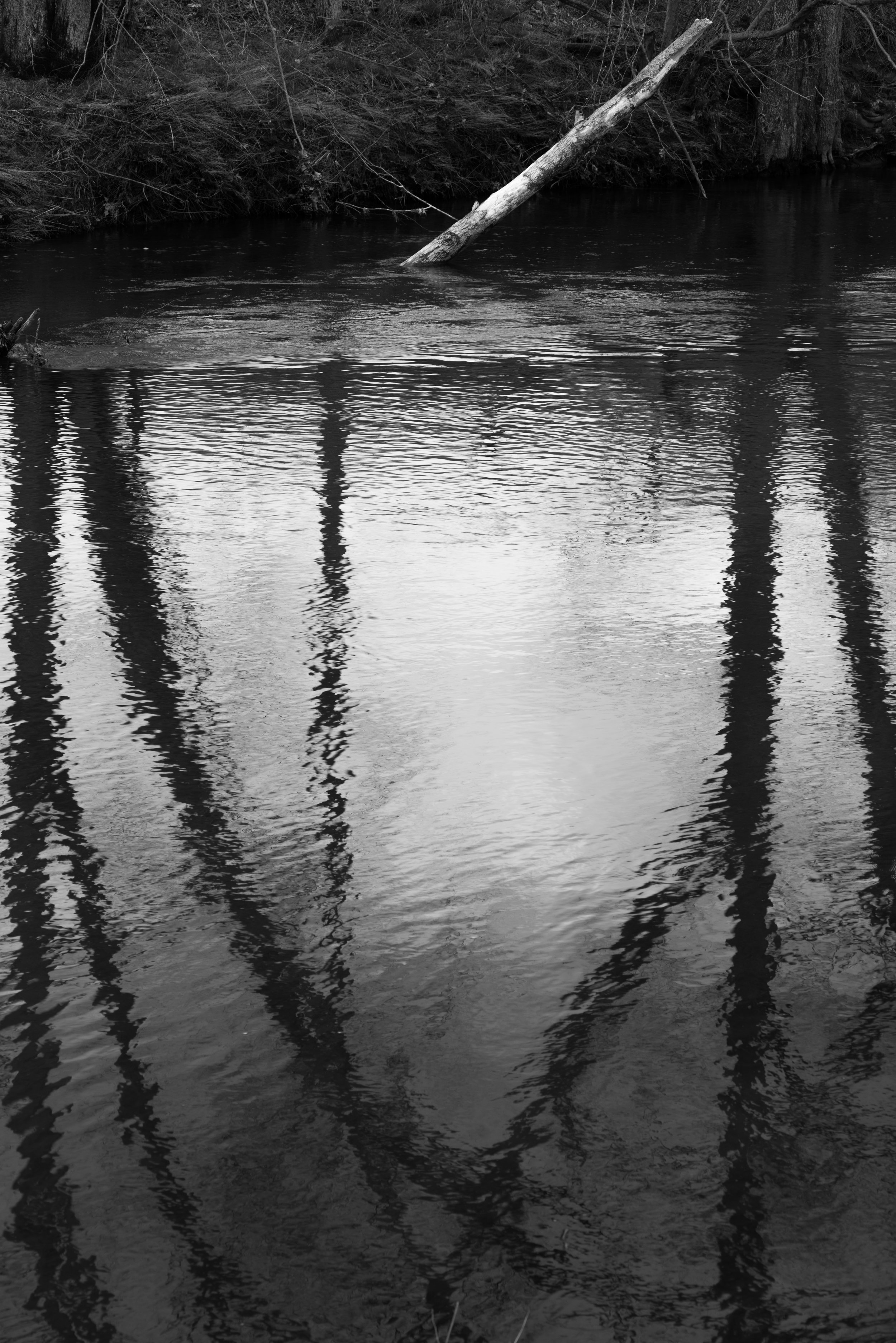  Reflections and partially submerged log, Bent of the River, Southbury, CT. 