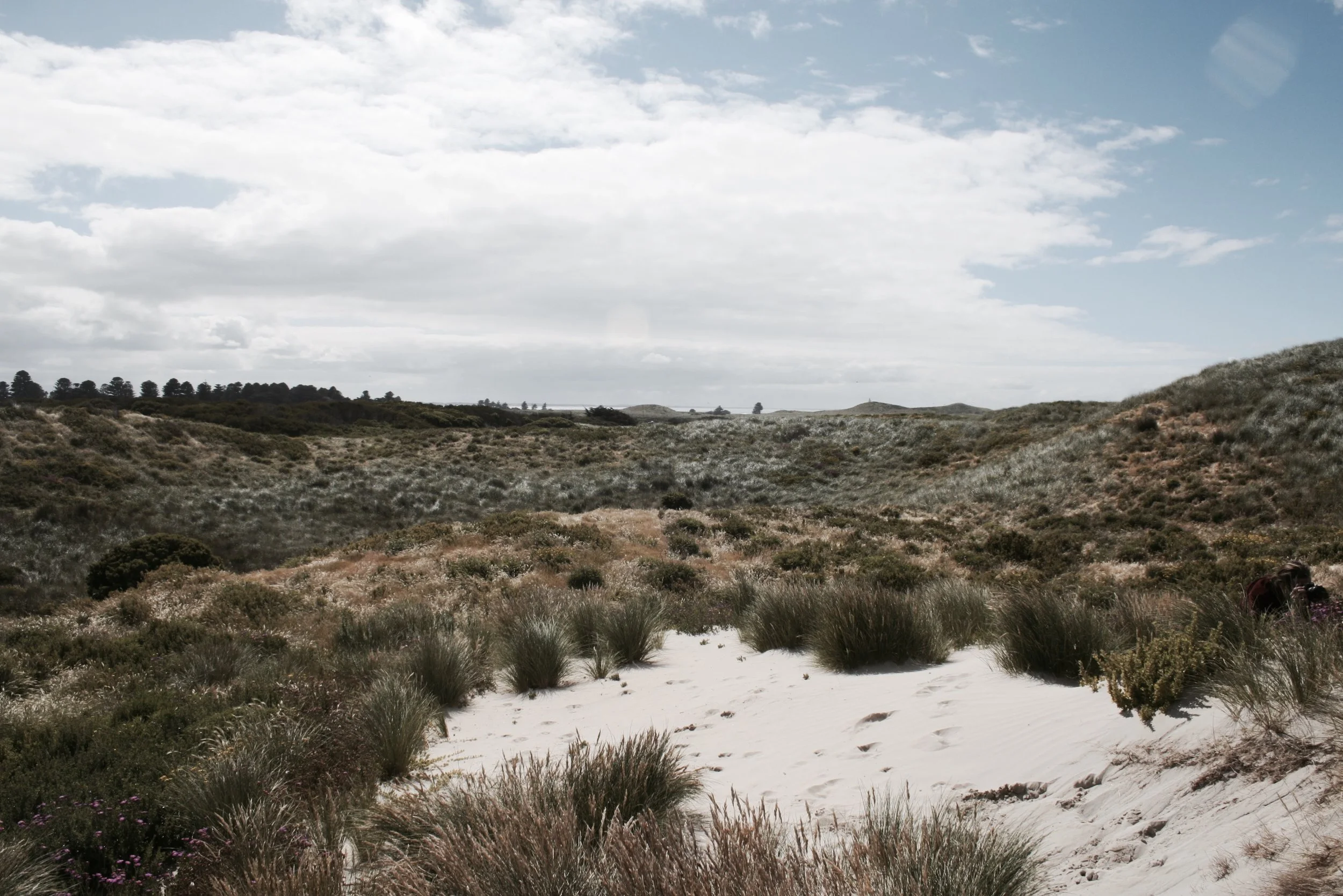 portfairy.jpeg